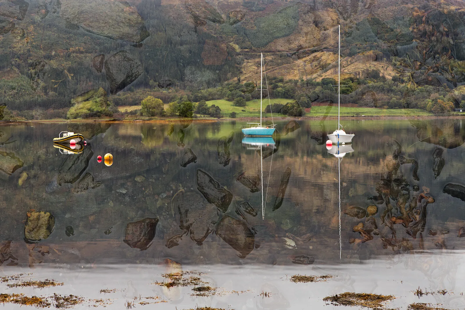 The boats