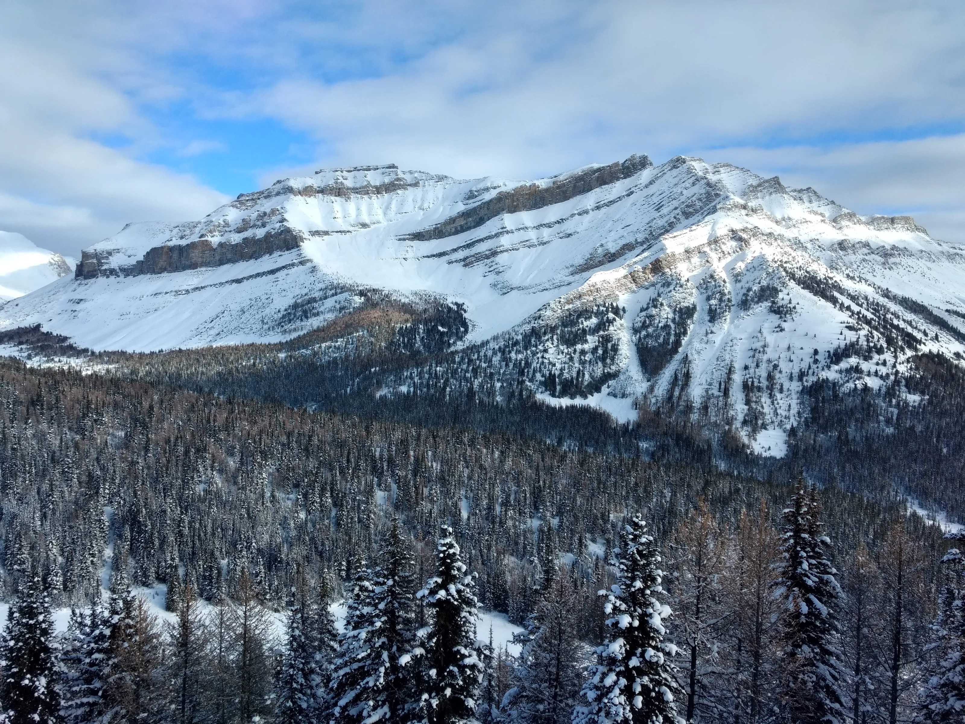 Canadian Beauty