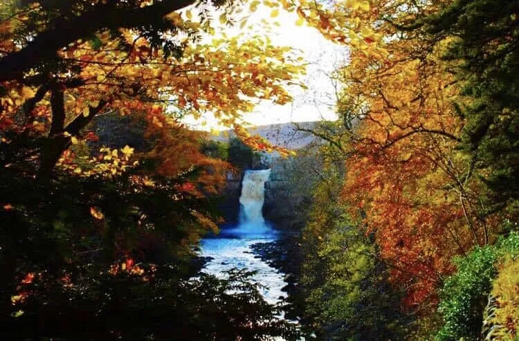 Autumn waterfall