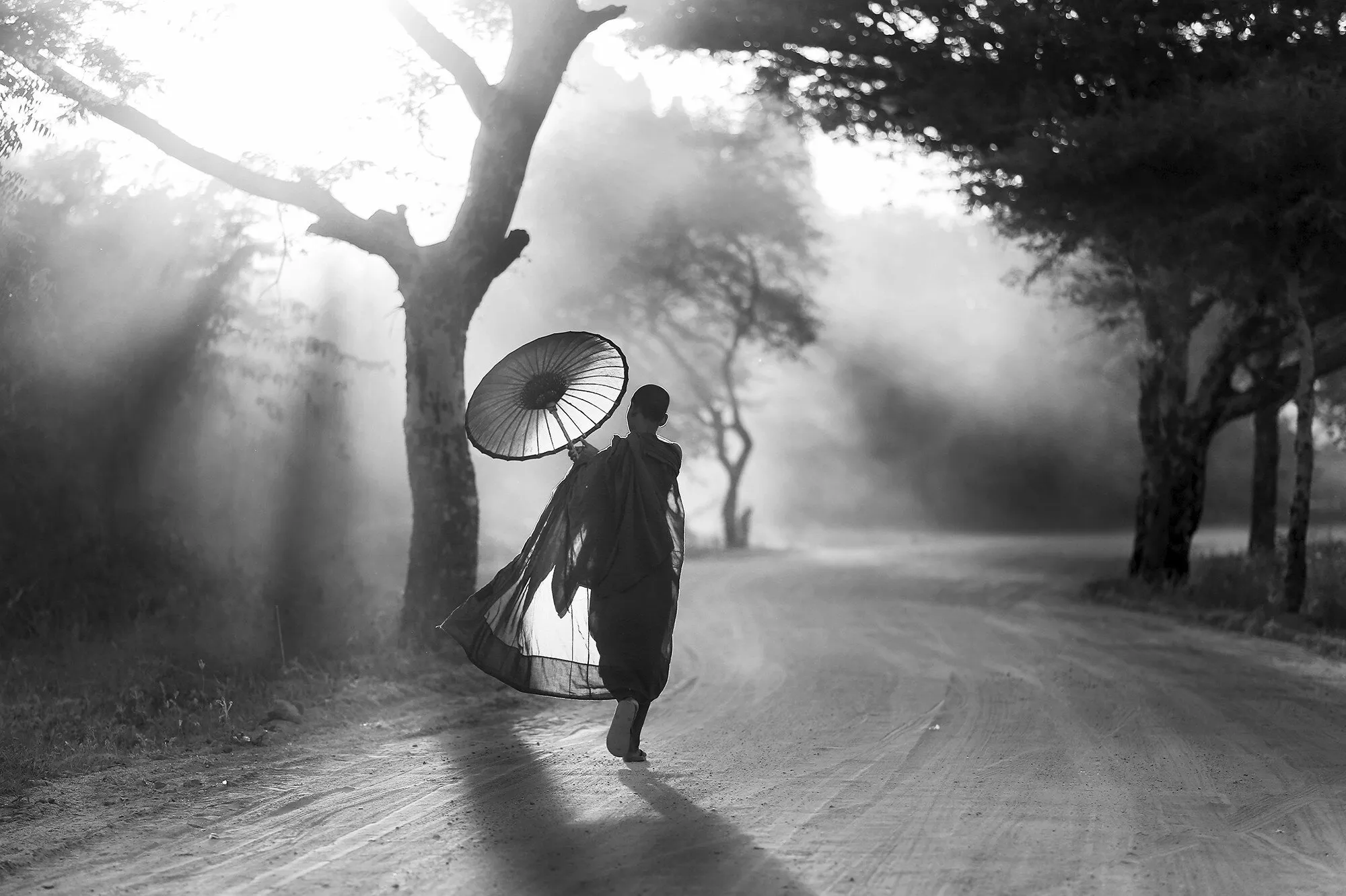 Going home 5