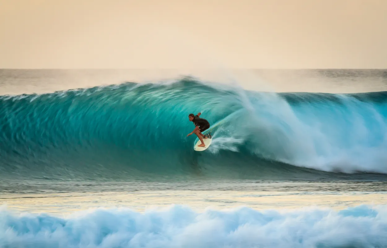 Surf Motion