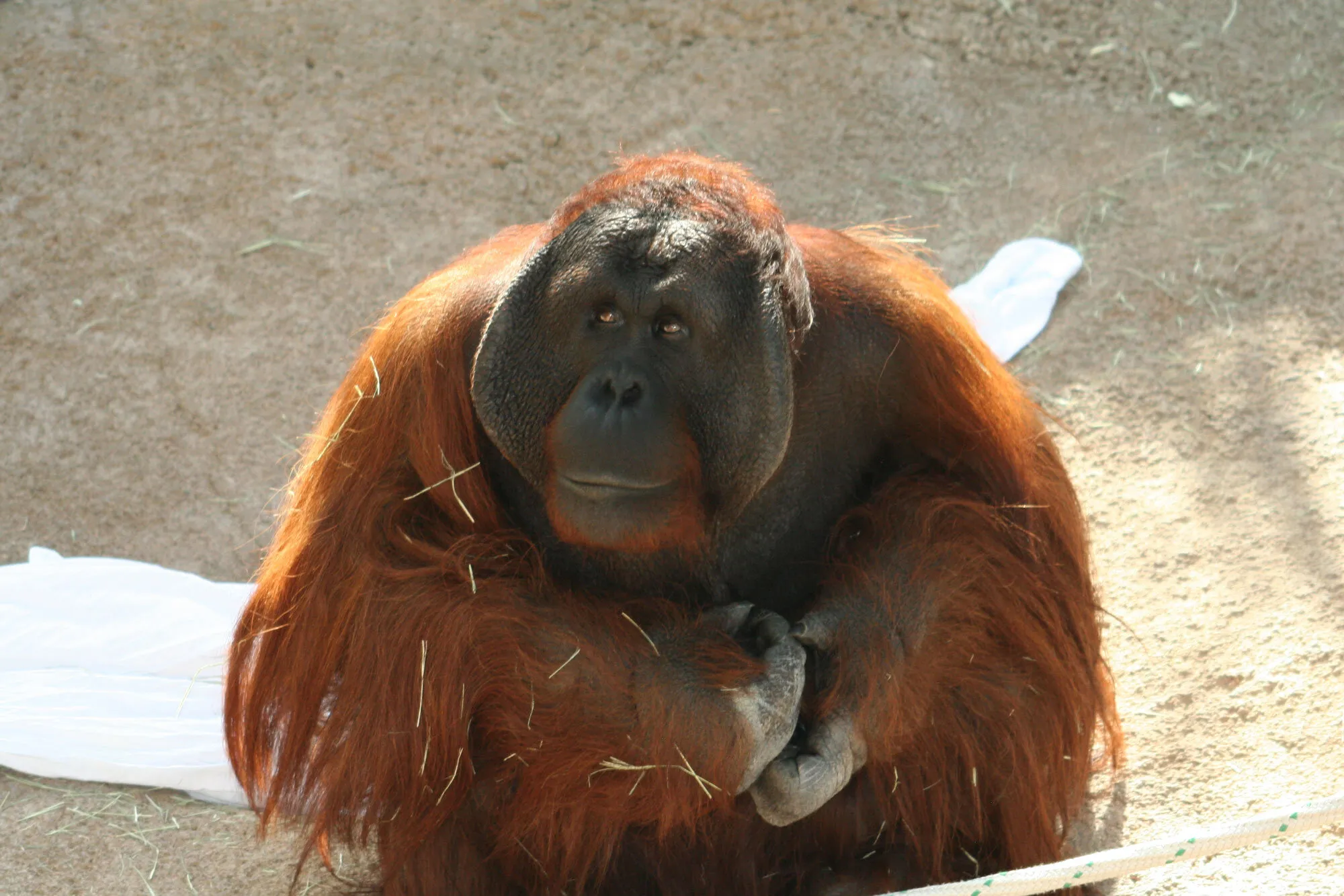 You lookin' at me?