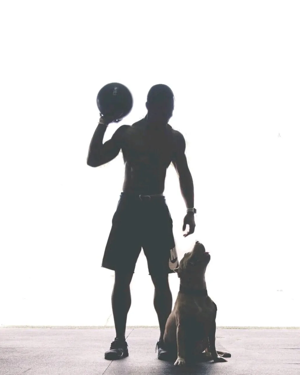 Banner image