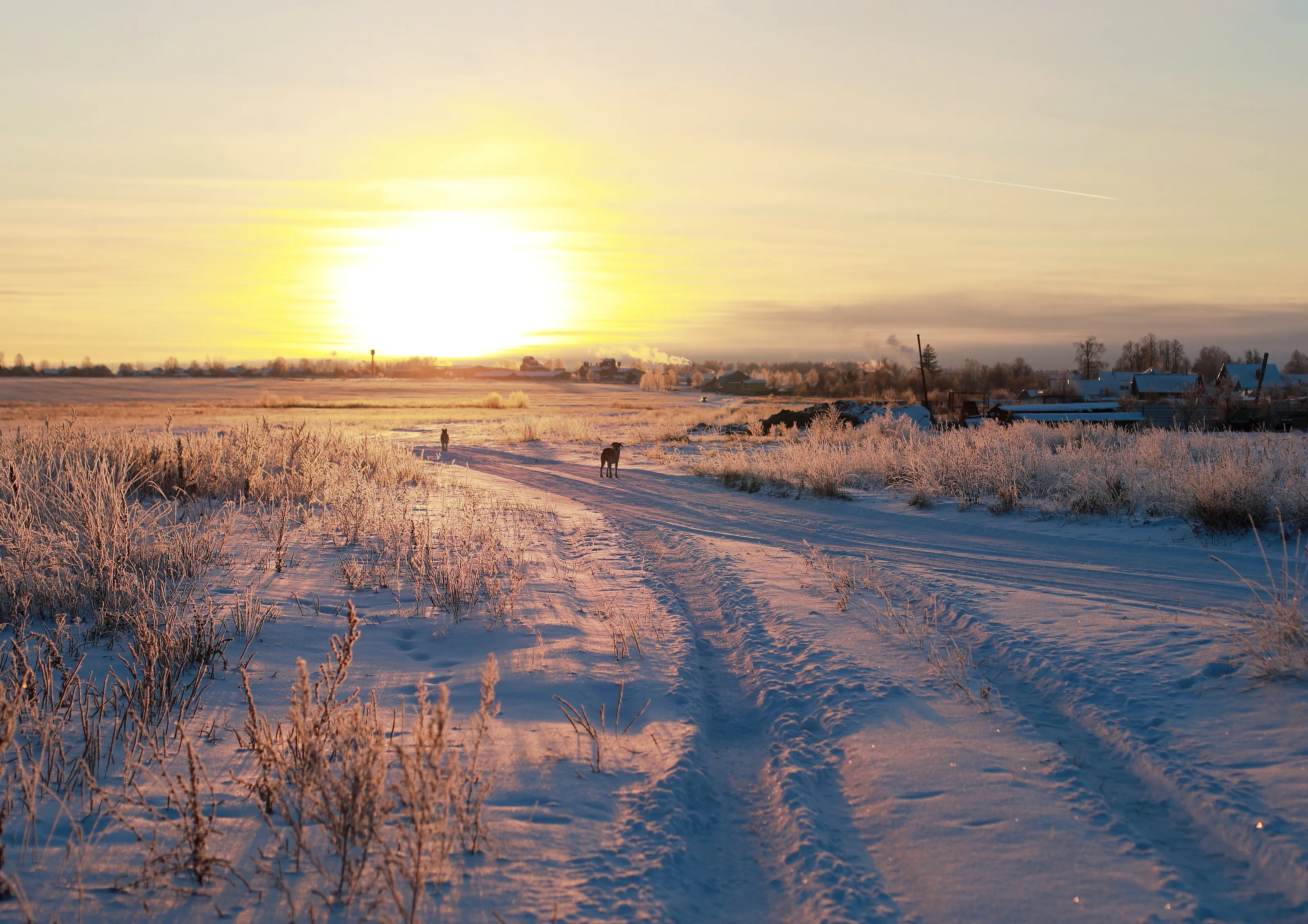 Winter fairytale