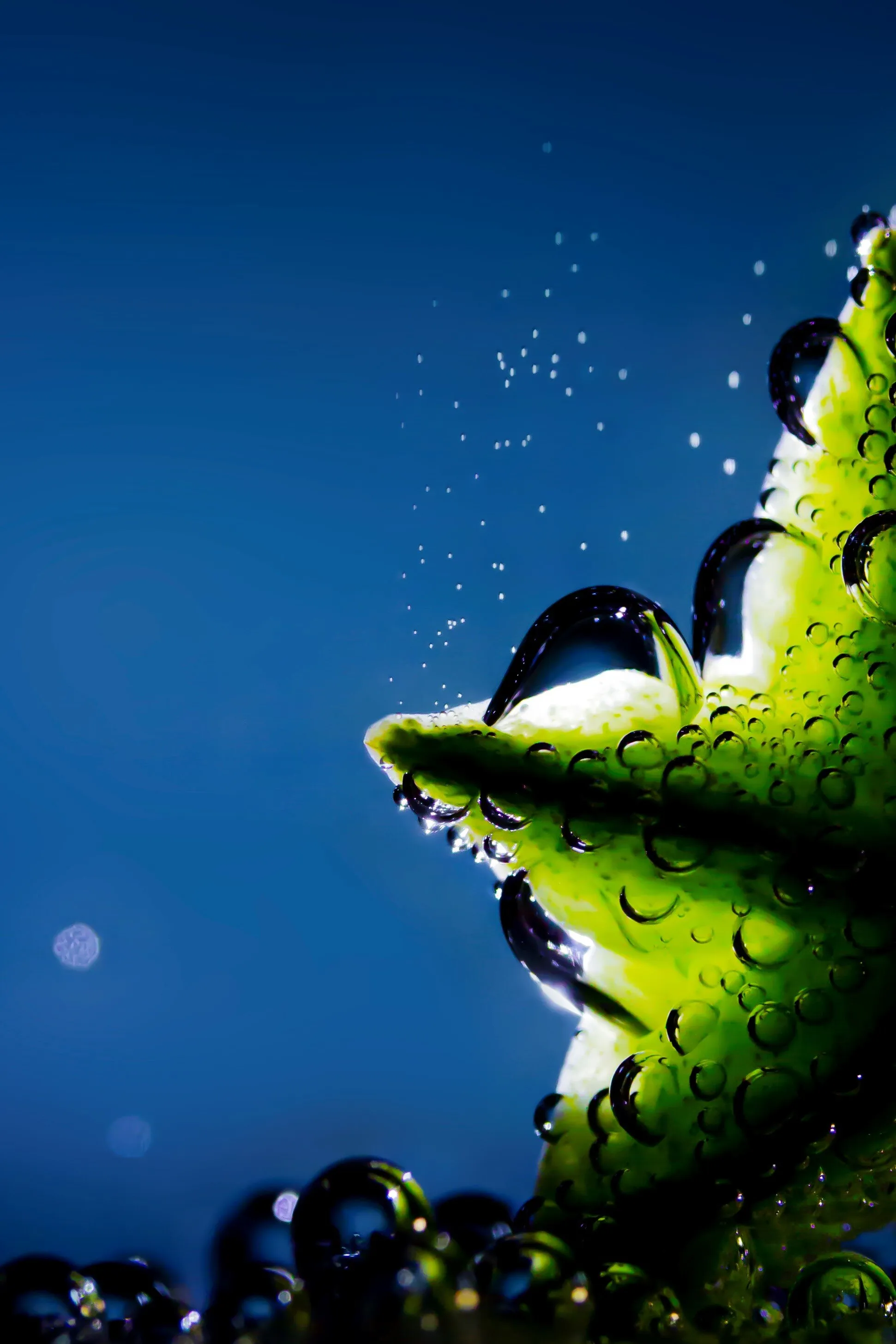 Bubbly star