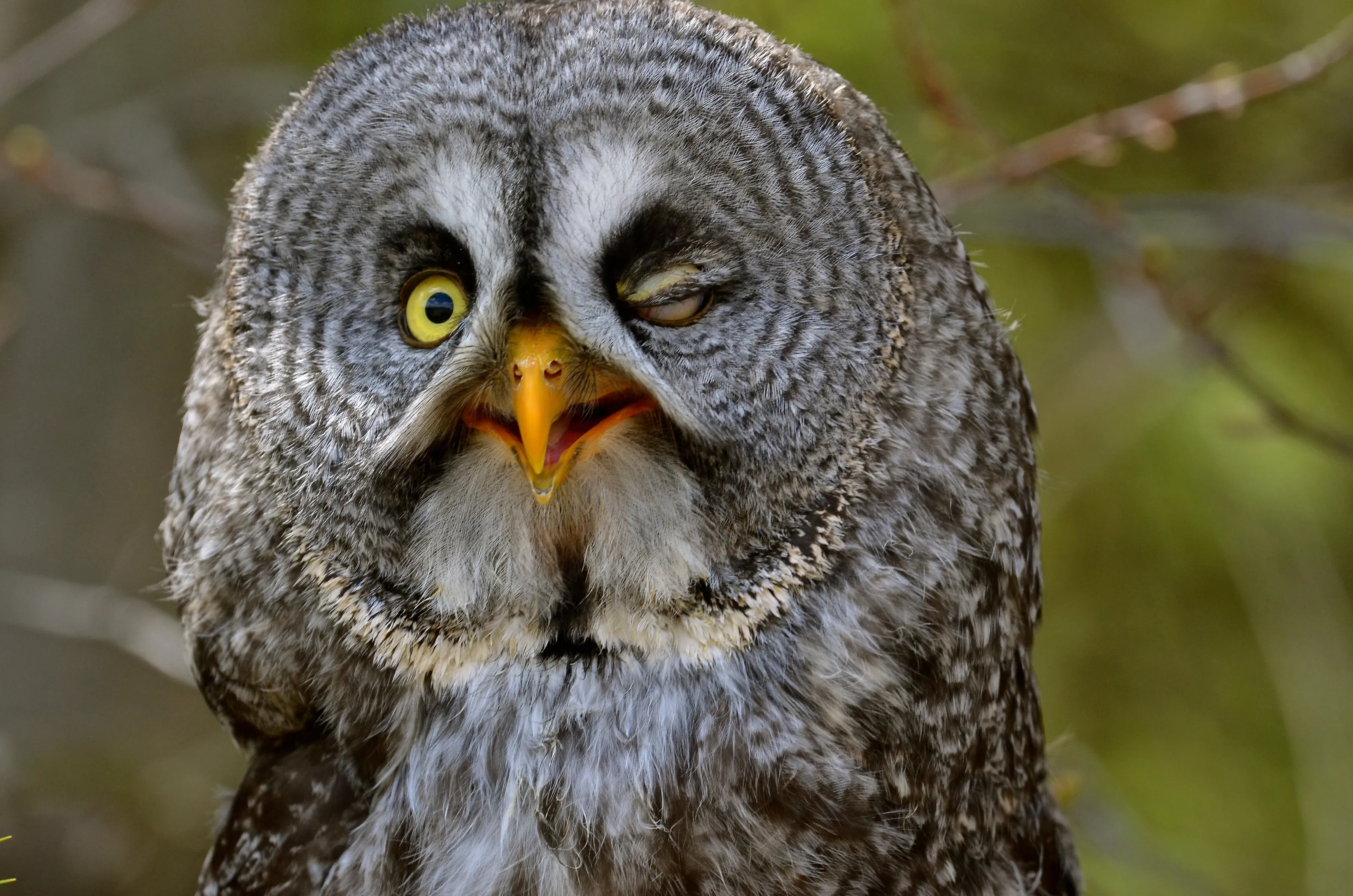 How you doin'?