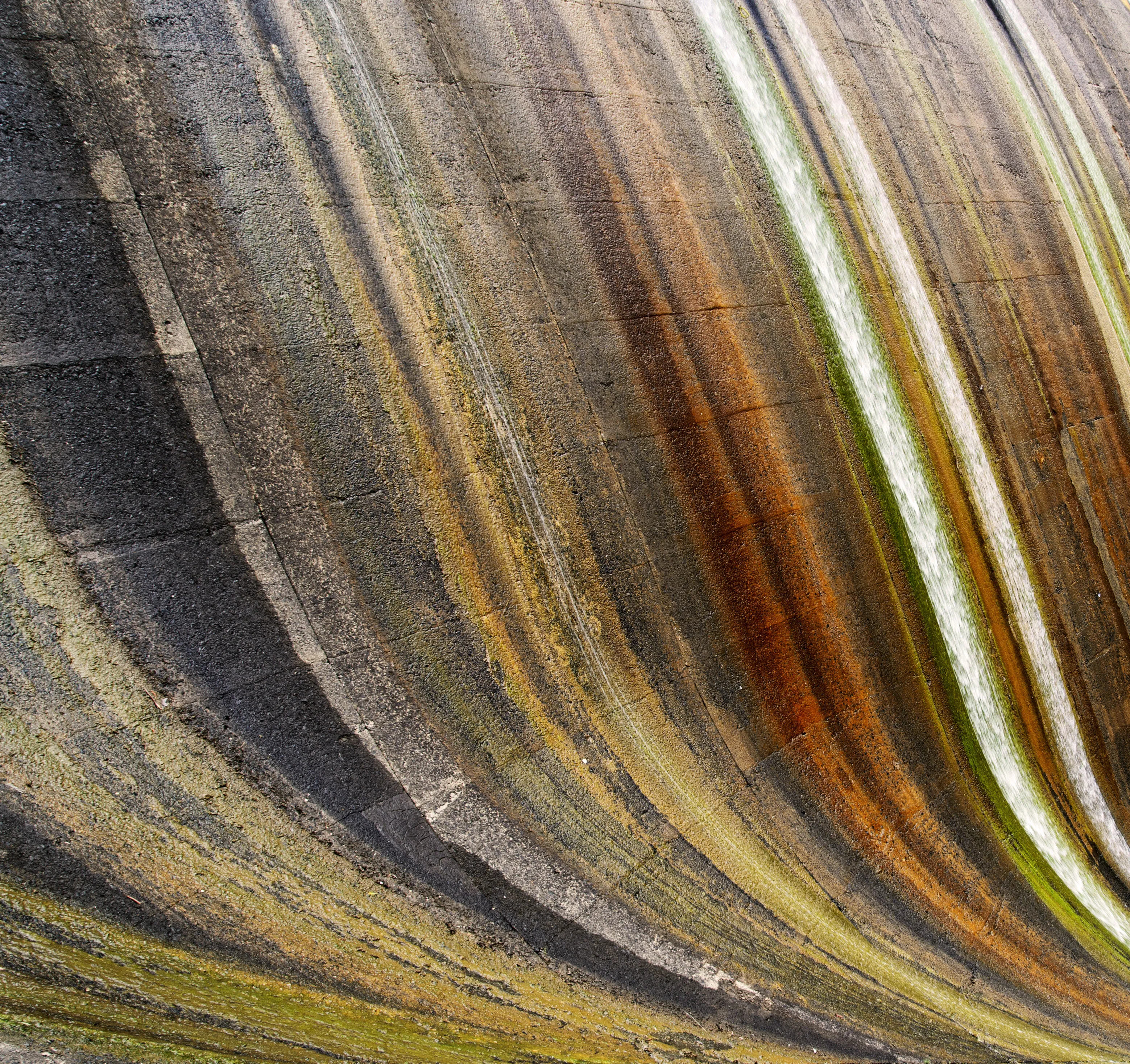 Rainbow Stripes