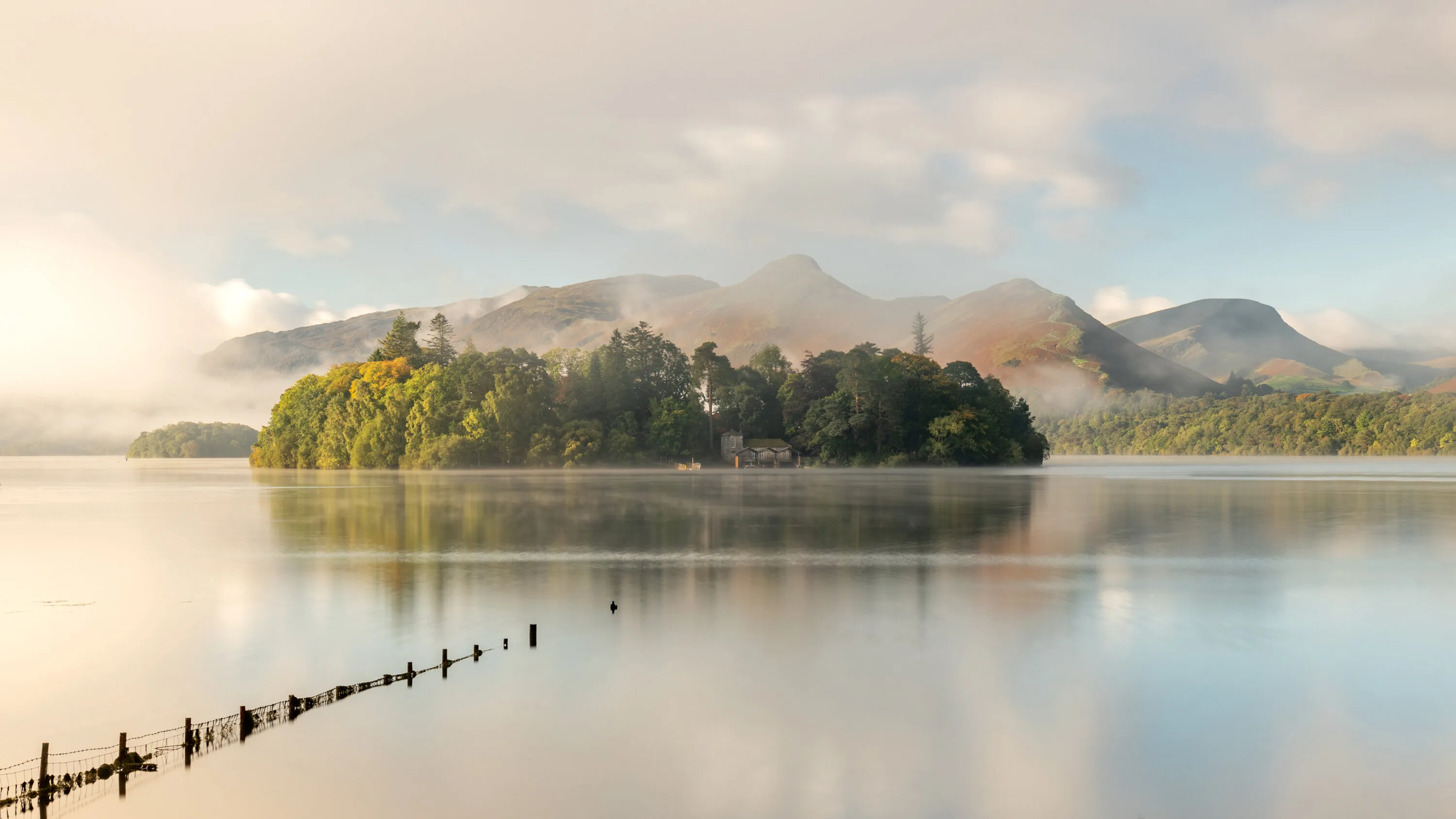 Misted light