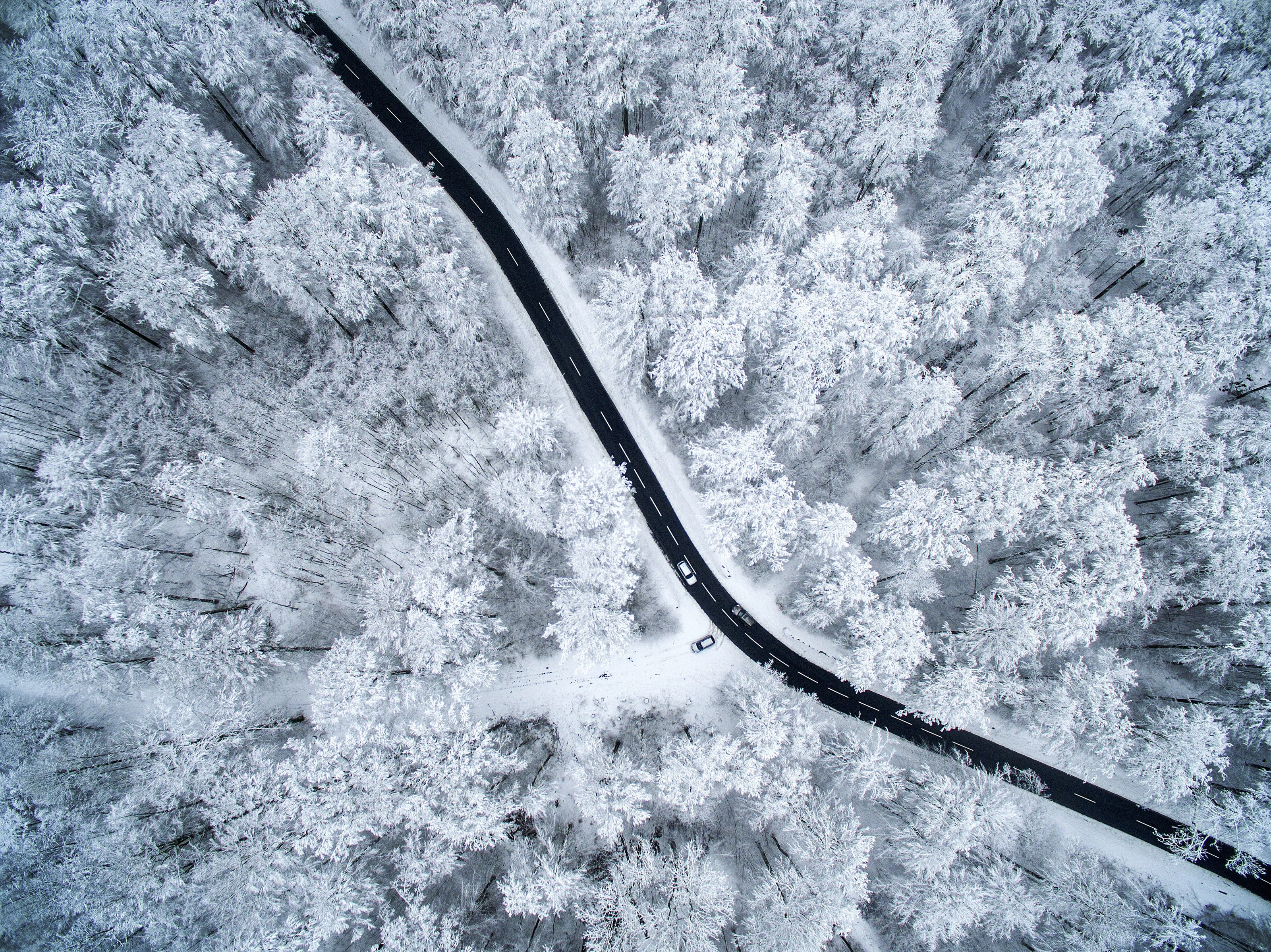 Racin on the winter trip