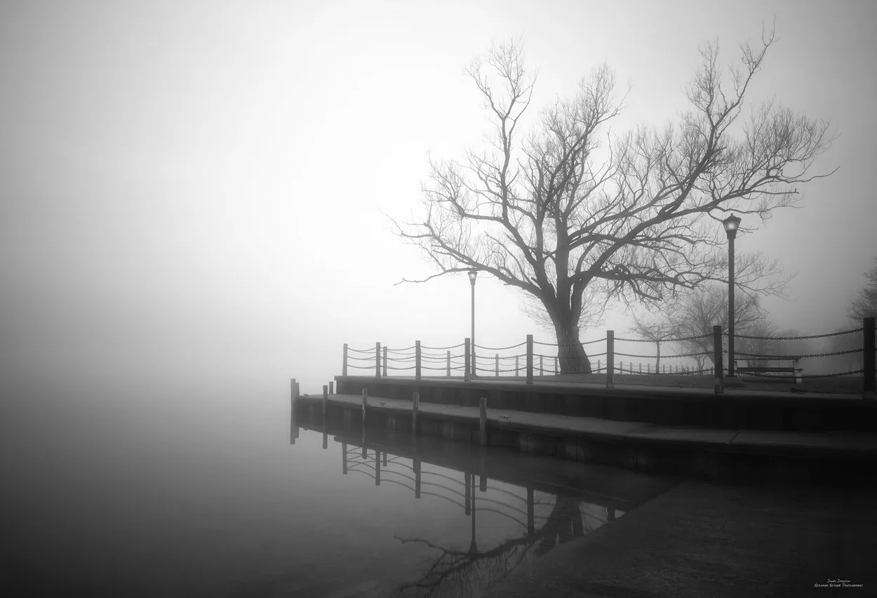 Entry 22509012
