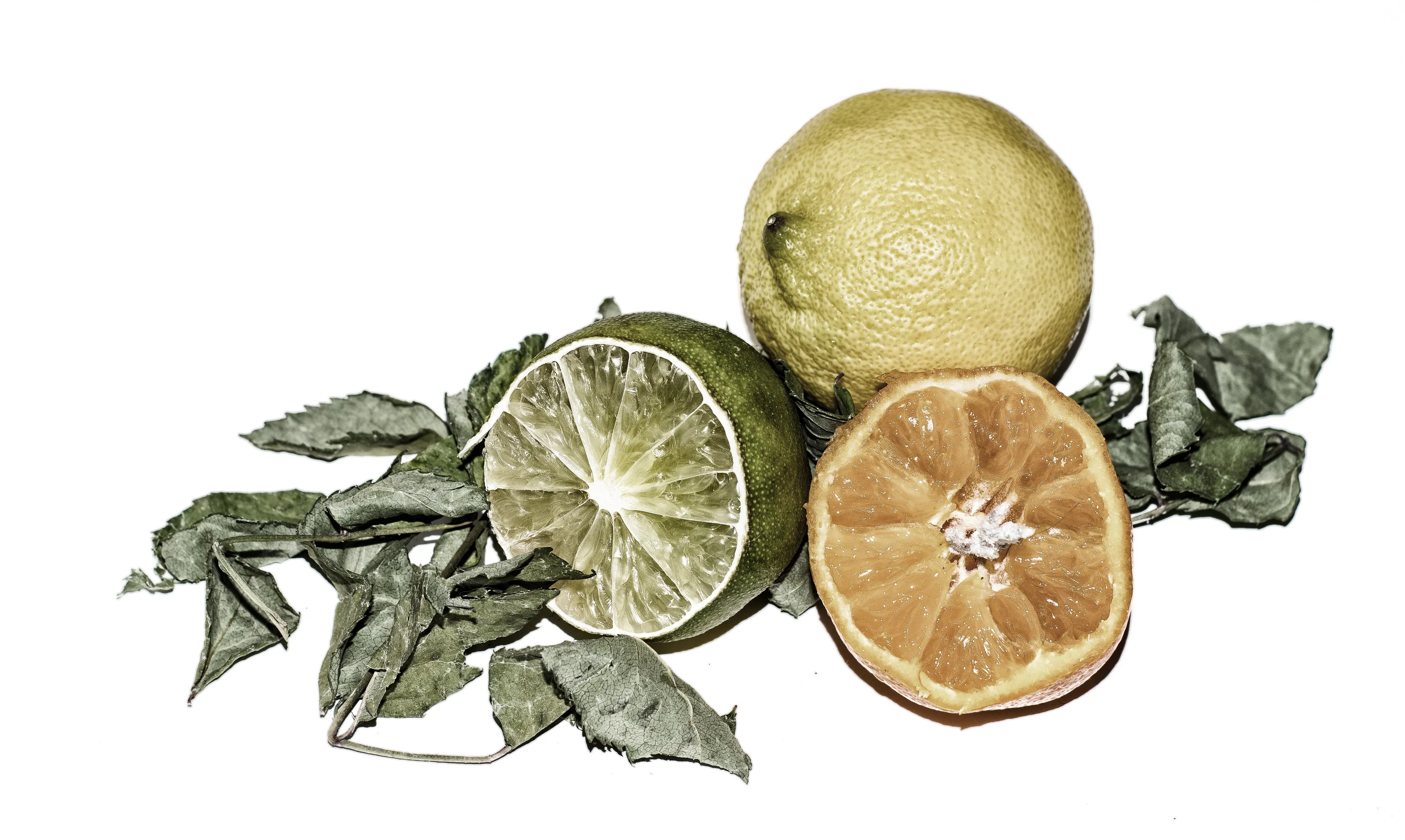 Citrus