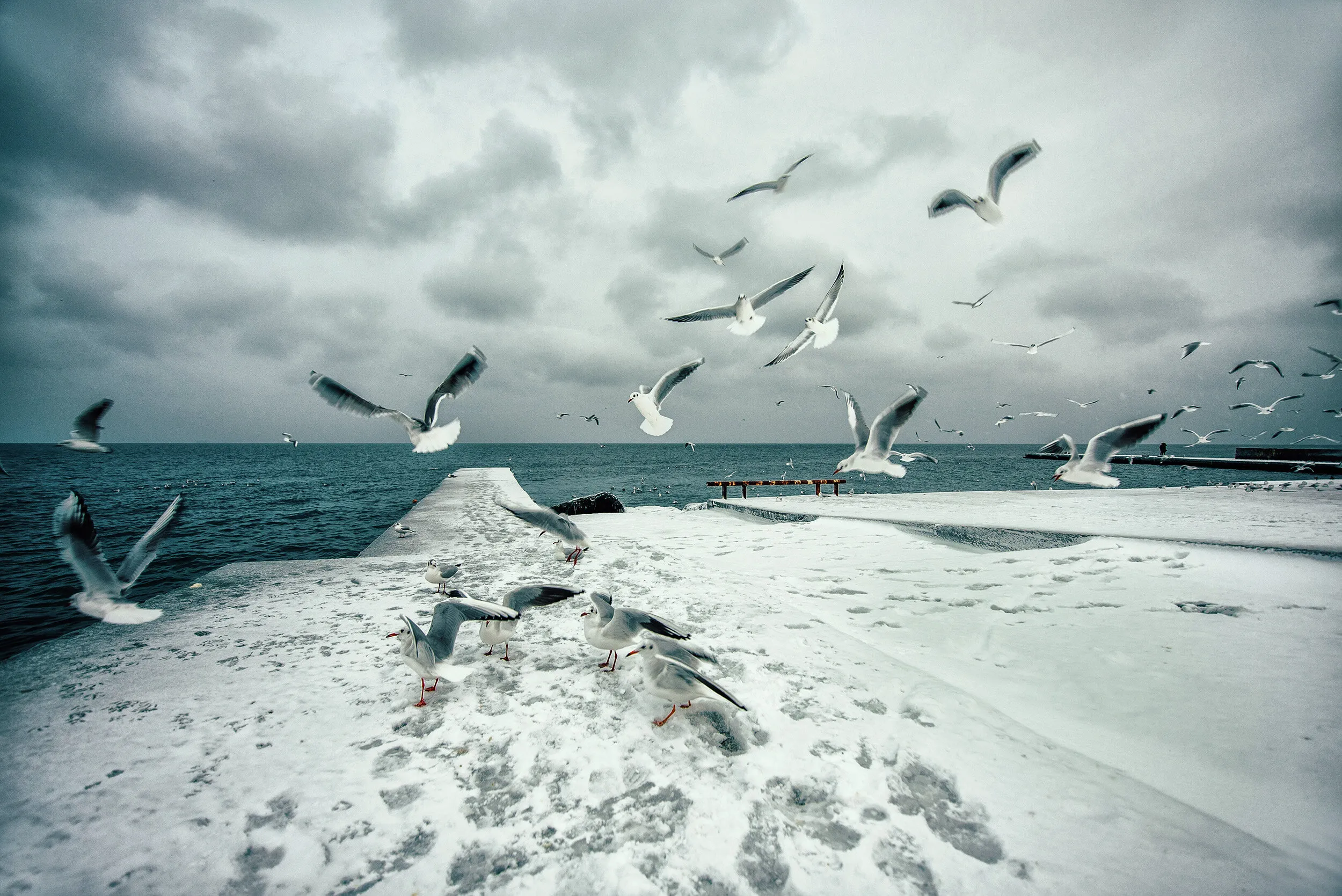 Cold sea