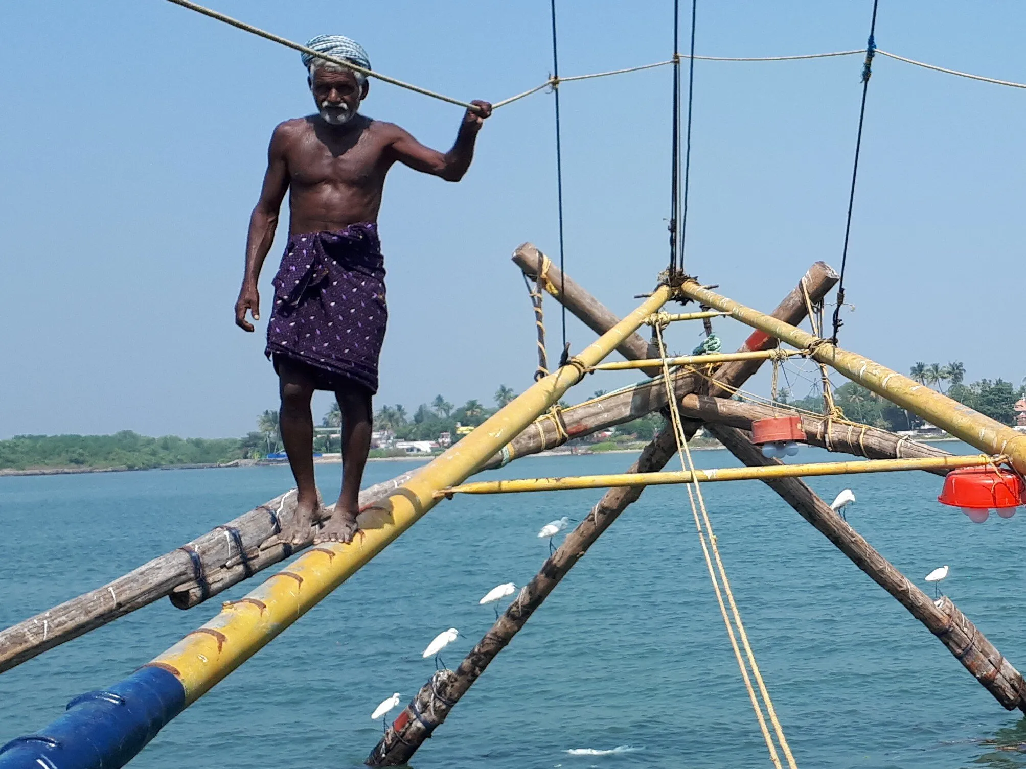 Beautiful tradition of the Chinese fishermen in Kerala. They are very agile and walk on the beams.
