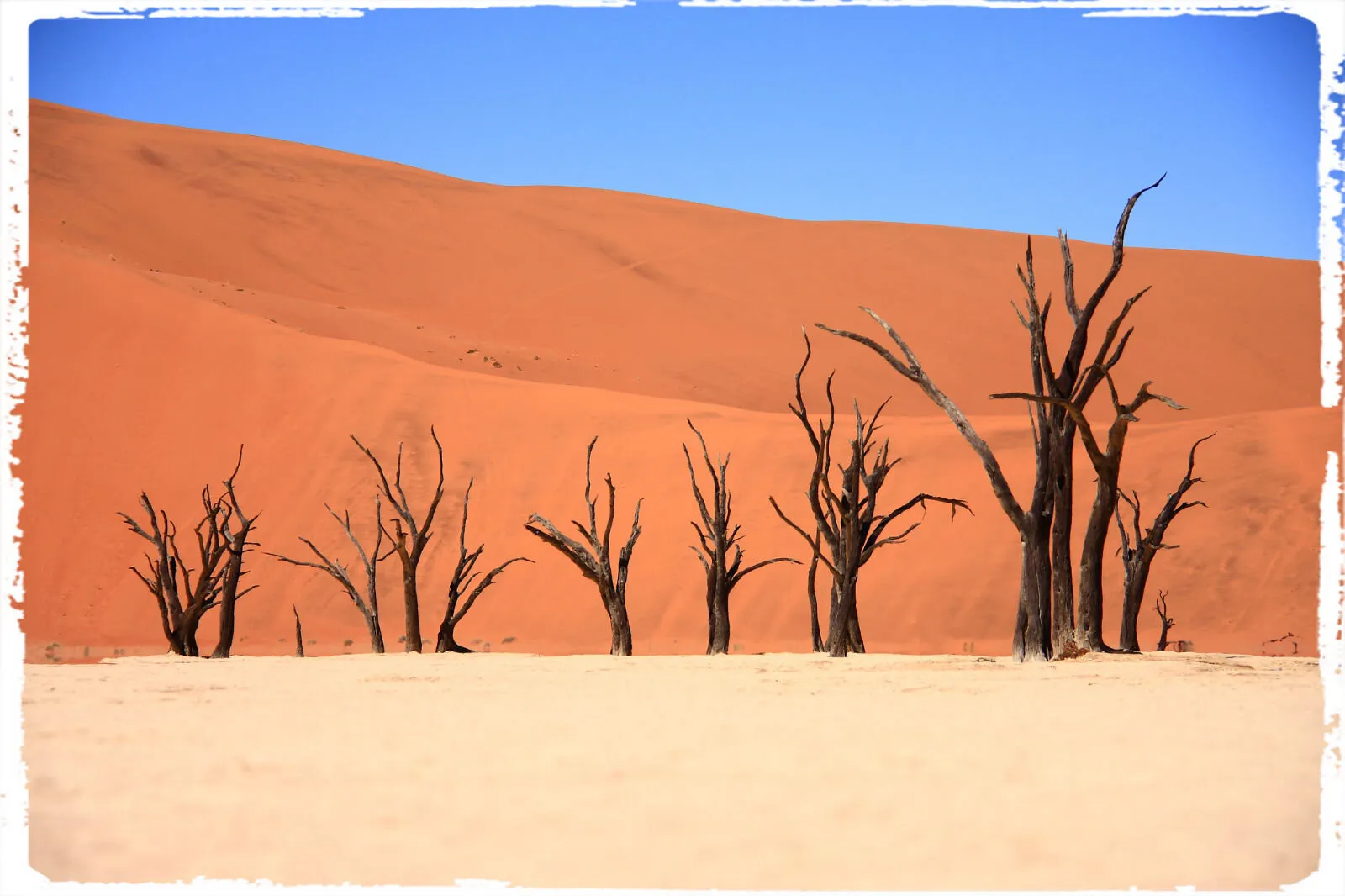 Deadvlei