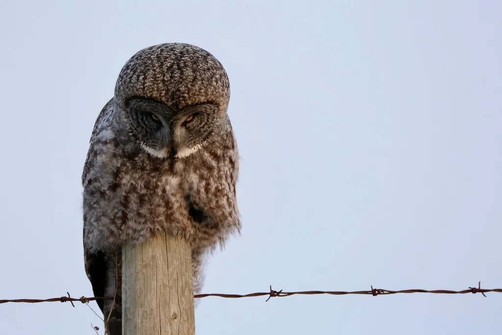 What are you looking at?