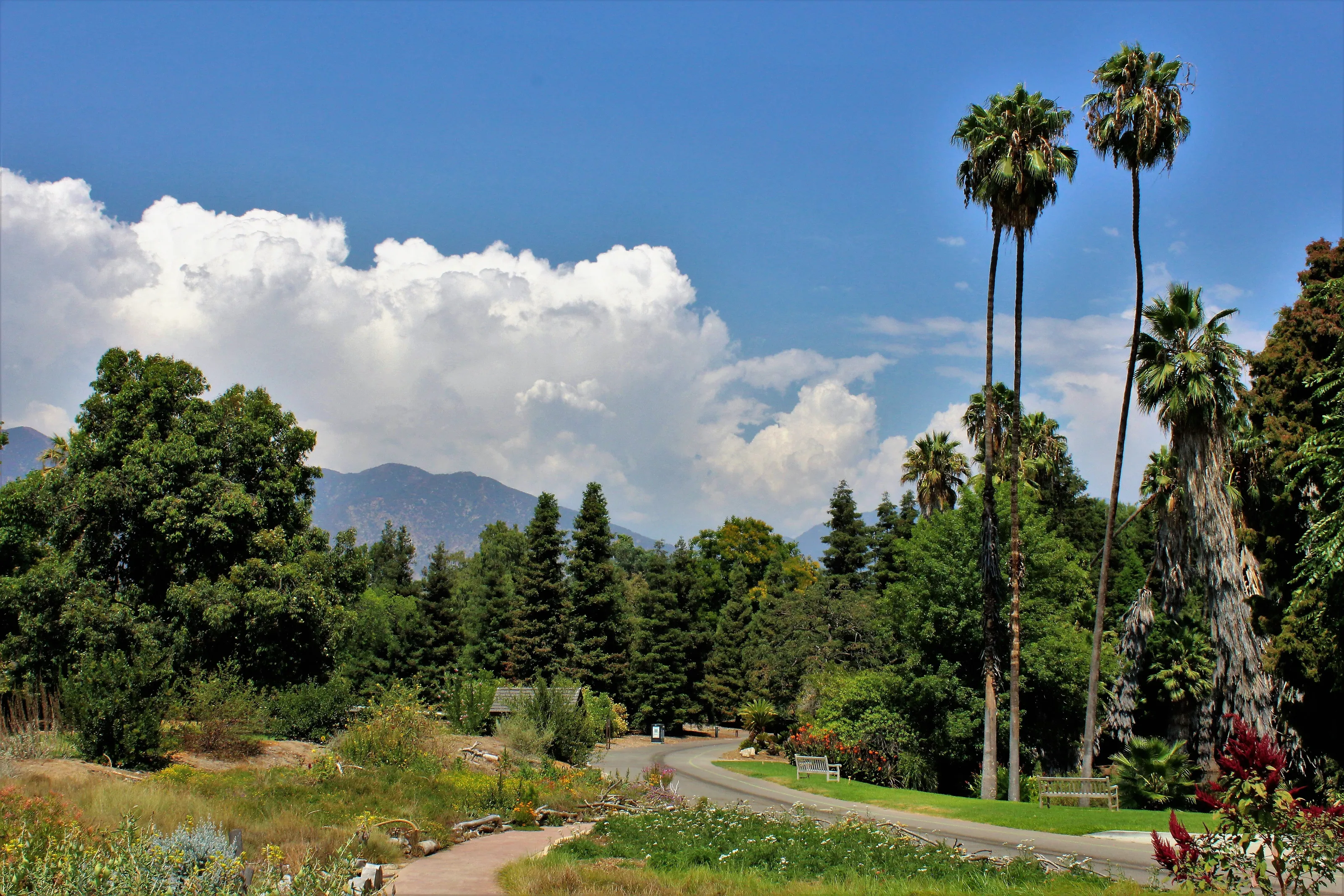 What Los Angeles looks like when I'm in snowy Missouri