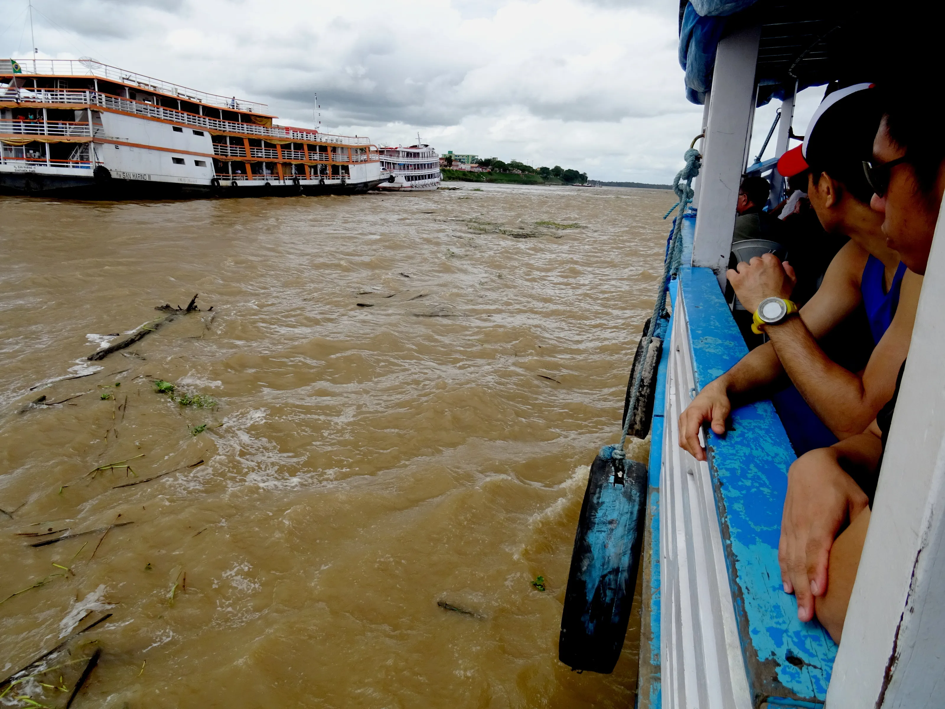 Drift wood on the River Amazon