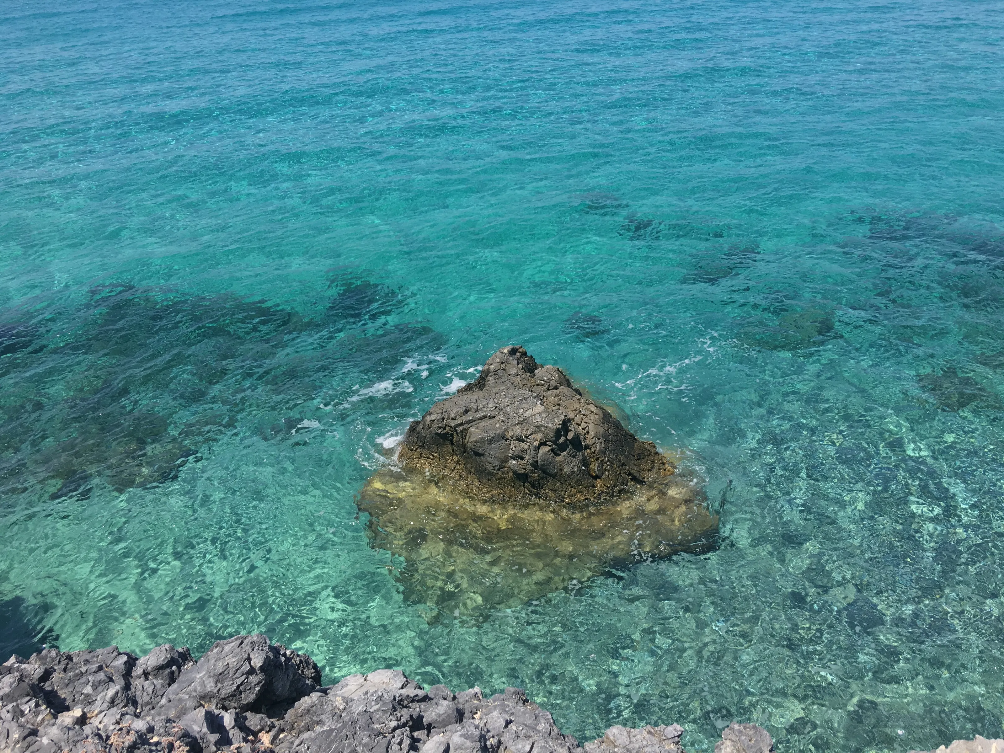 Grey earth and Blue water