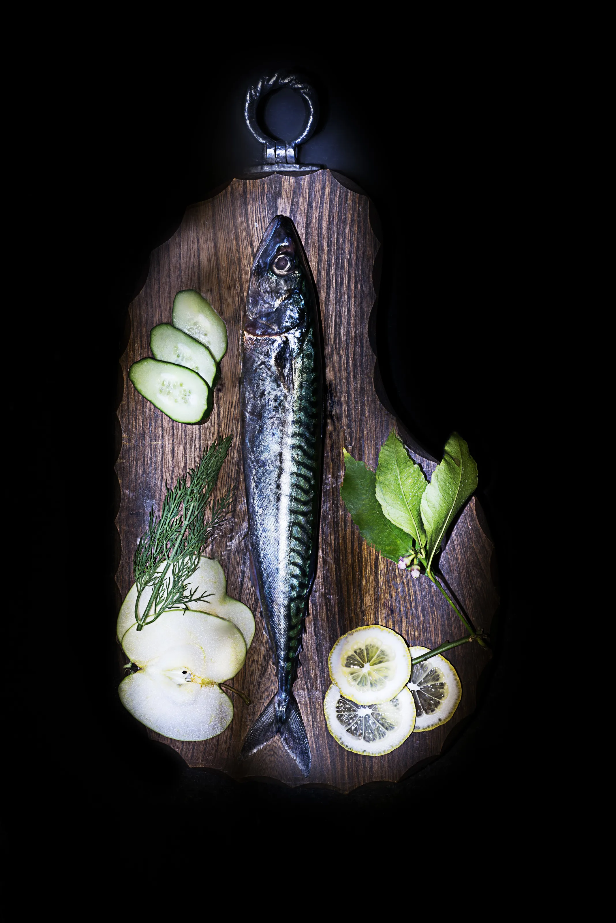 Fish