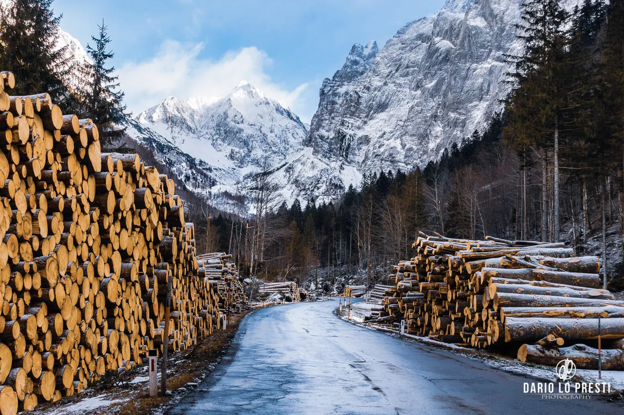 Entry 12836397