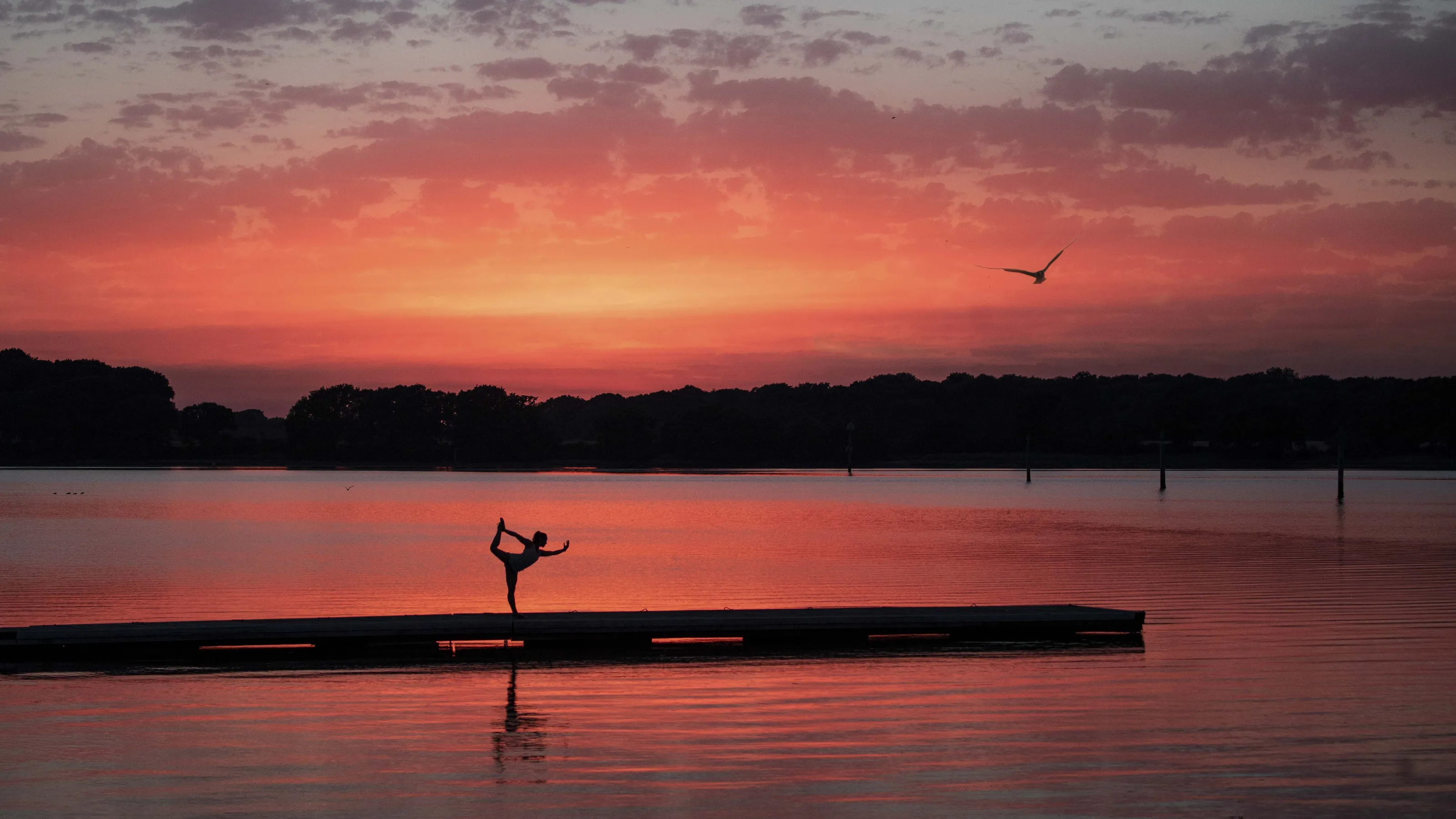 Chichester Yoga