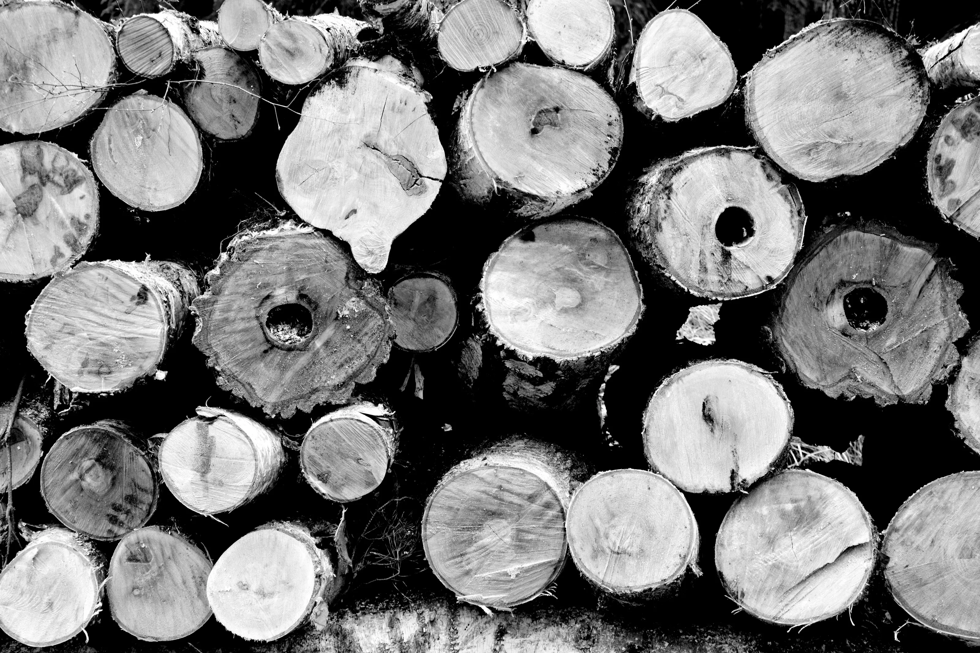 trees