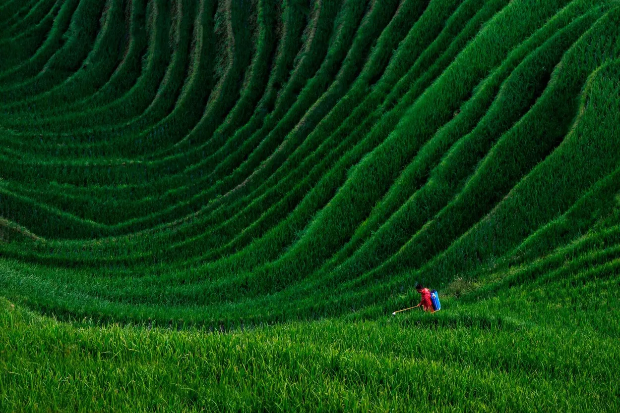 Entry 3461807