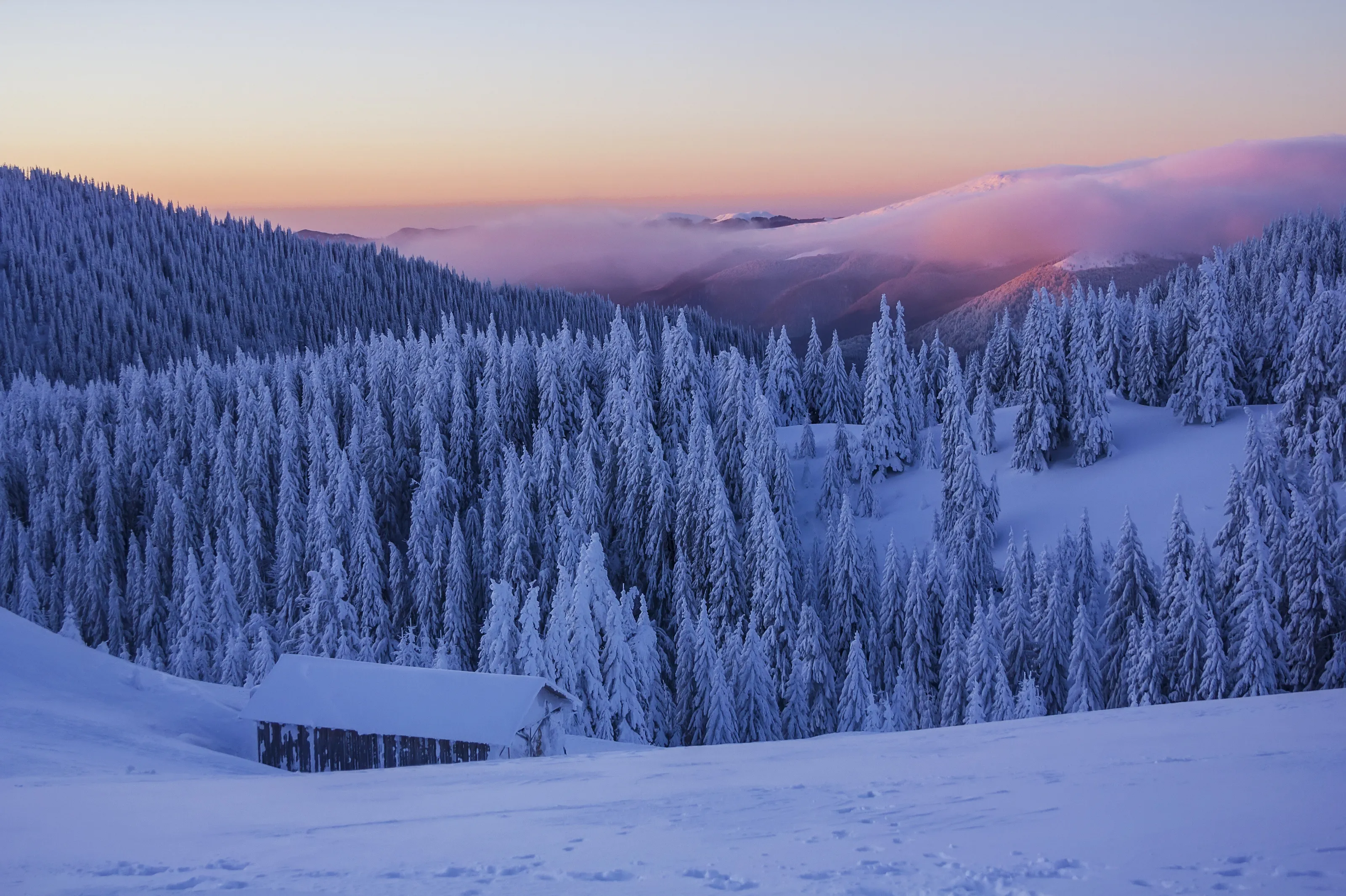 Winter magic