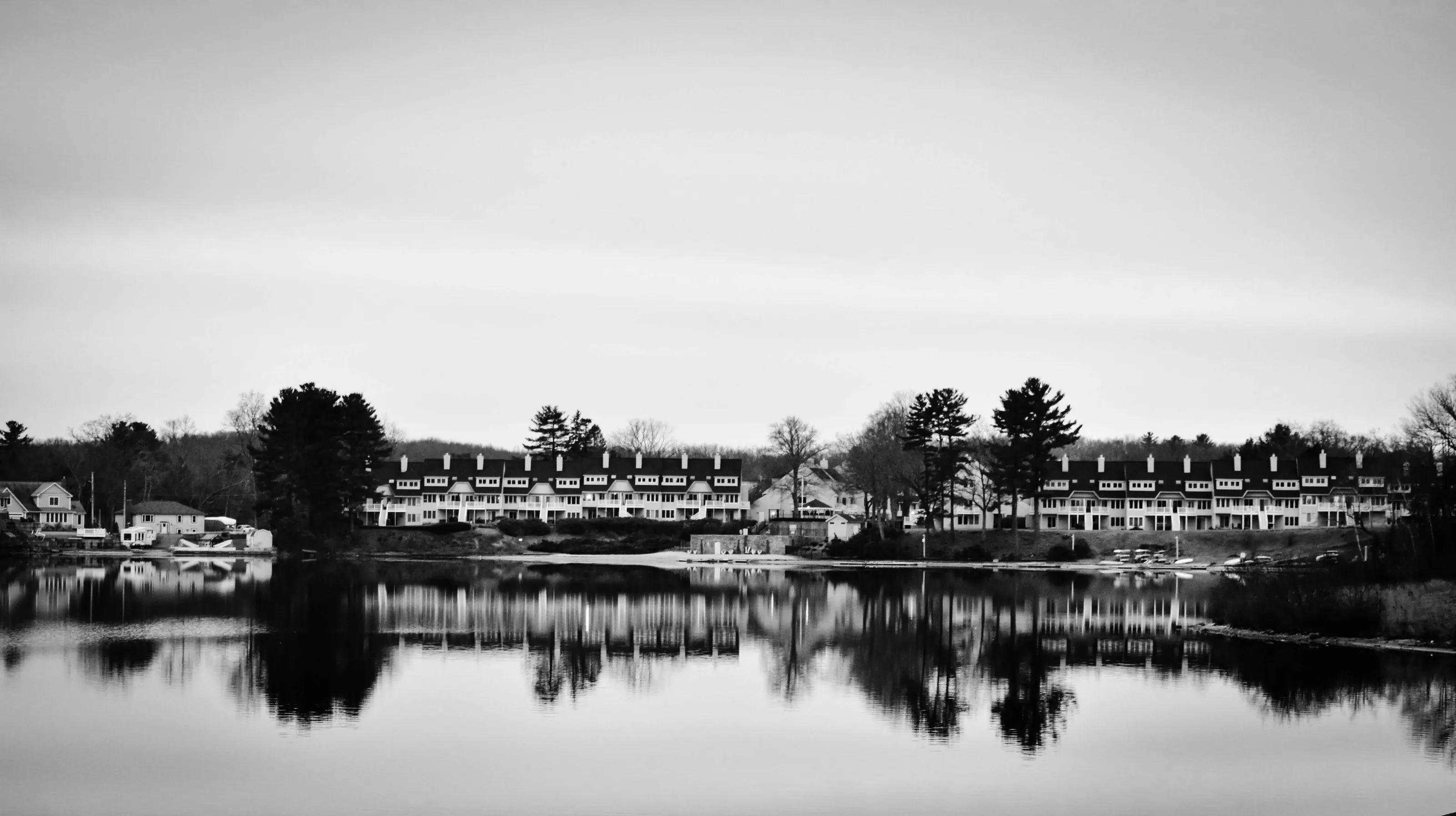 Black and white landscape