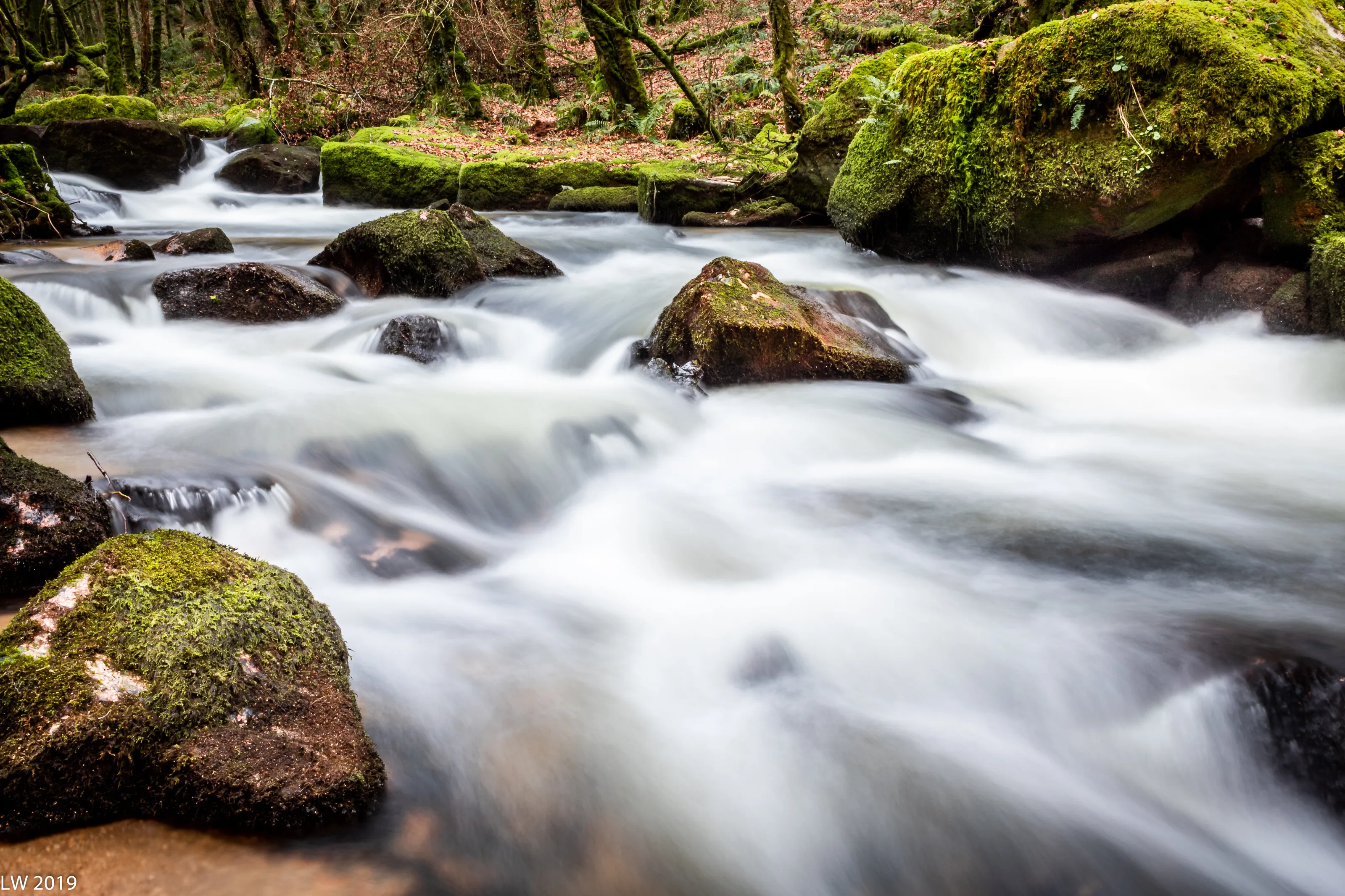 Golitha Falls