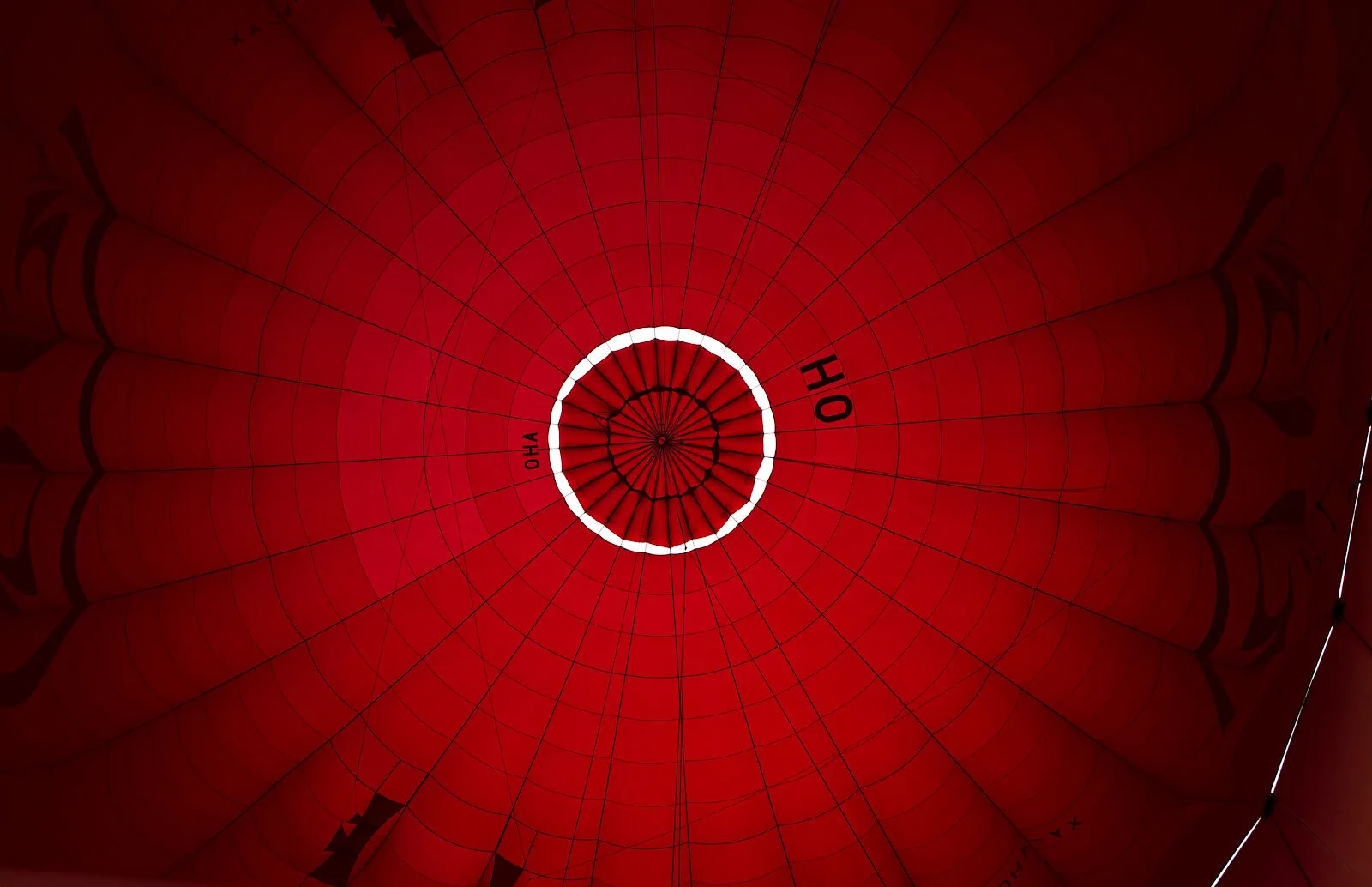 Entry 14446047