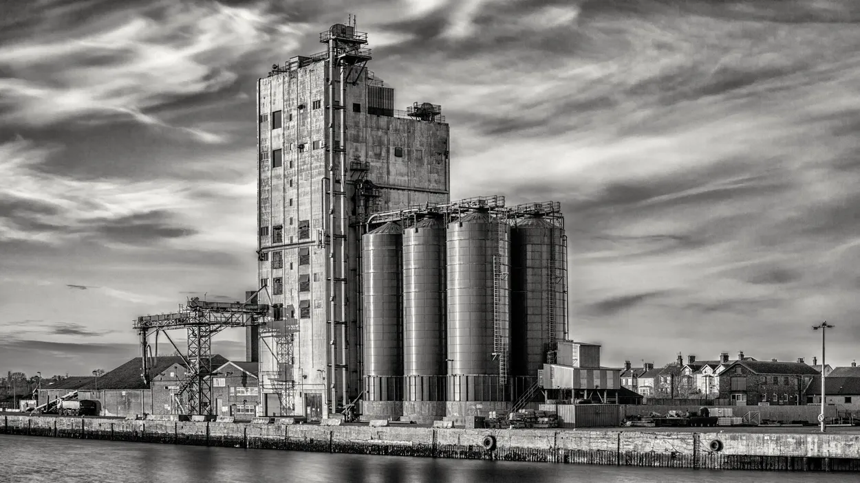 Entry 6446222