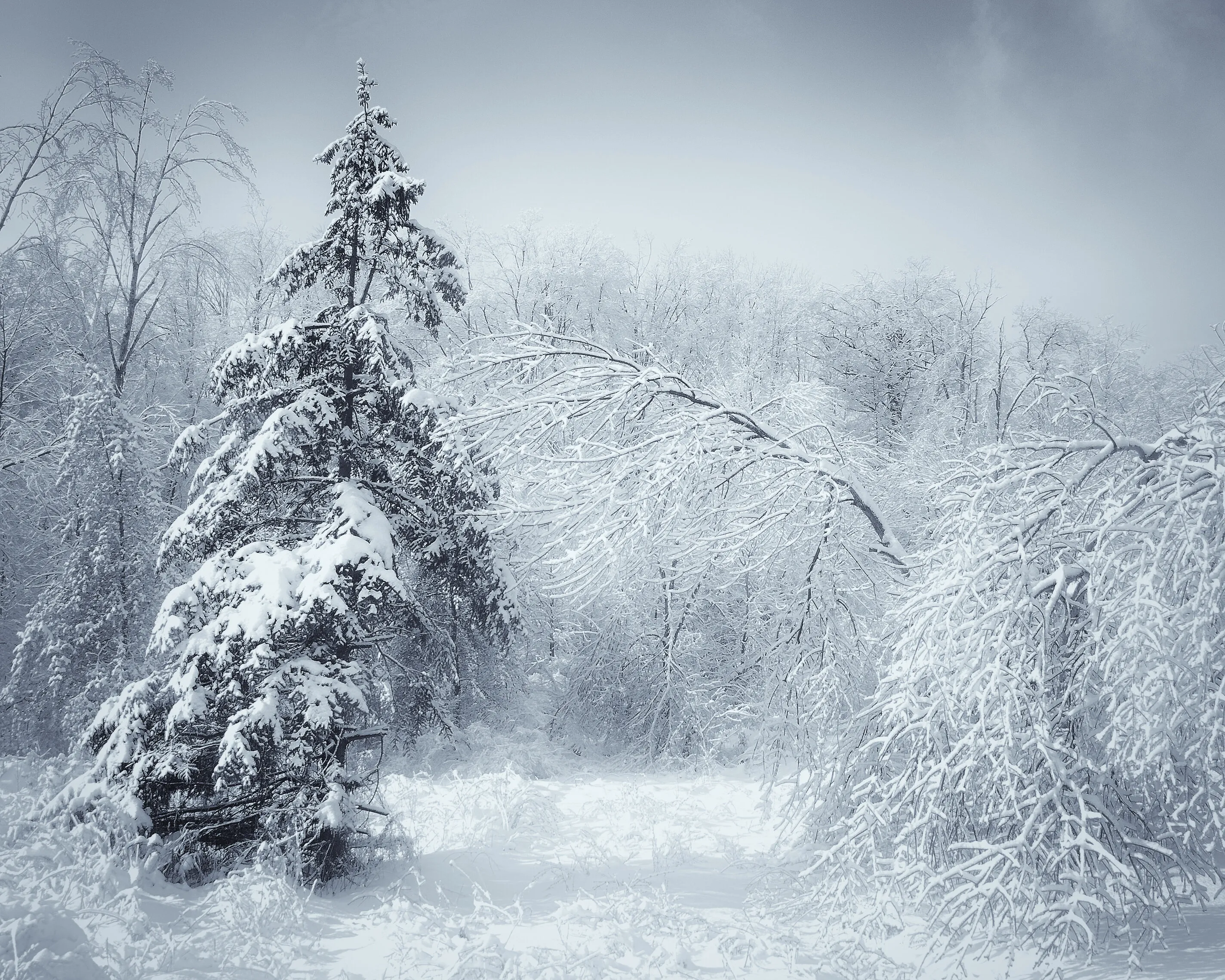 Frozen