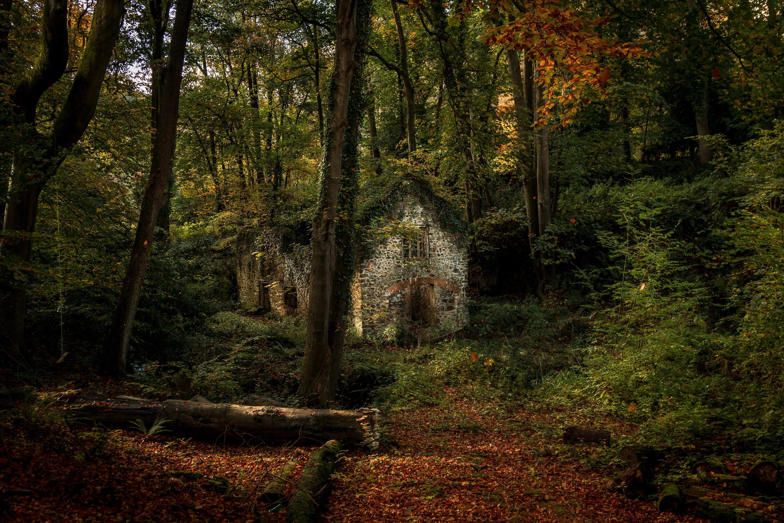 decay