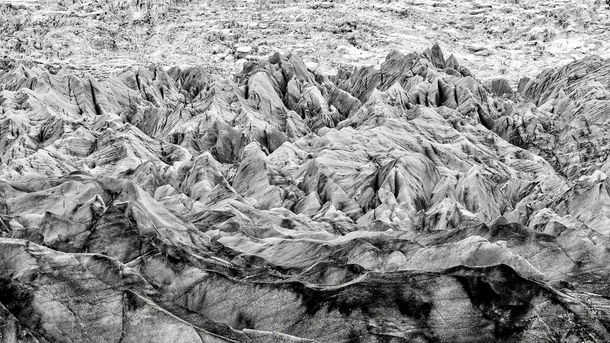 Entry 7982103