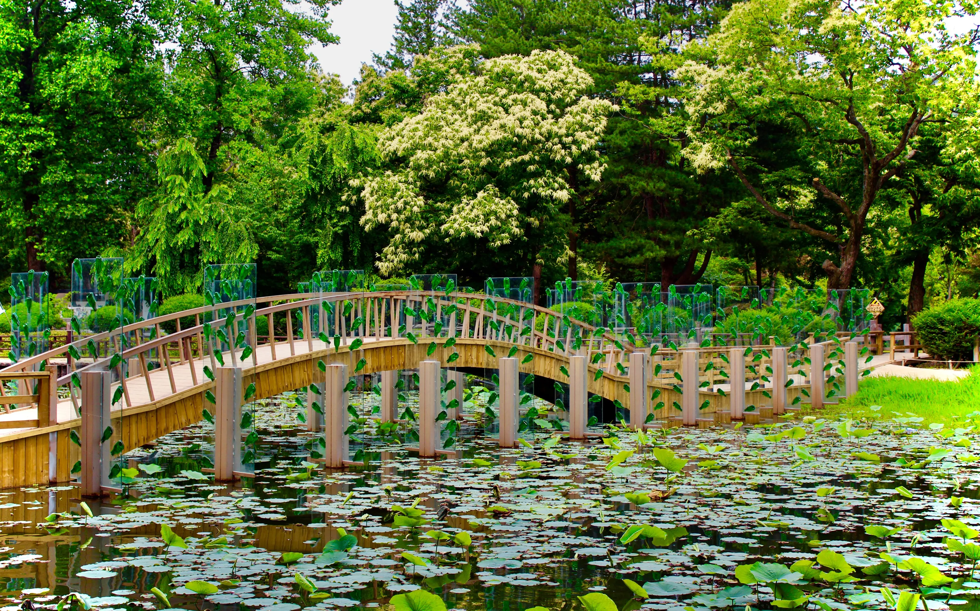 Crossing The Lily Pads