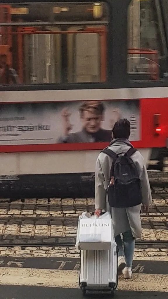 Banner image