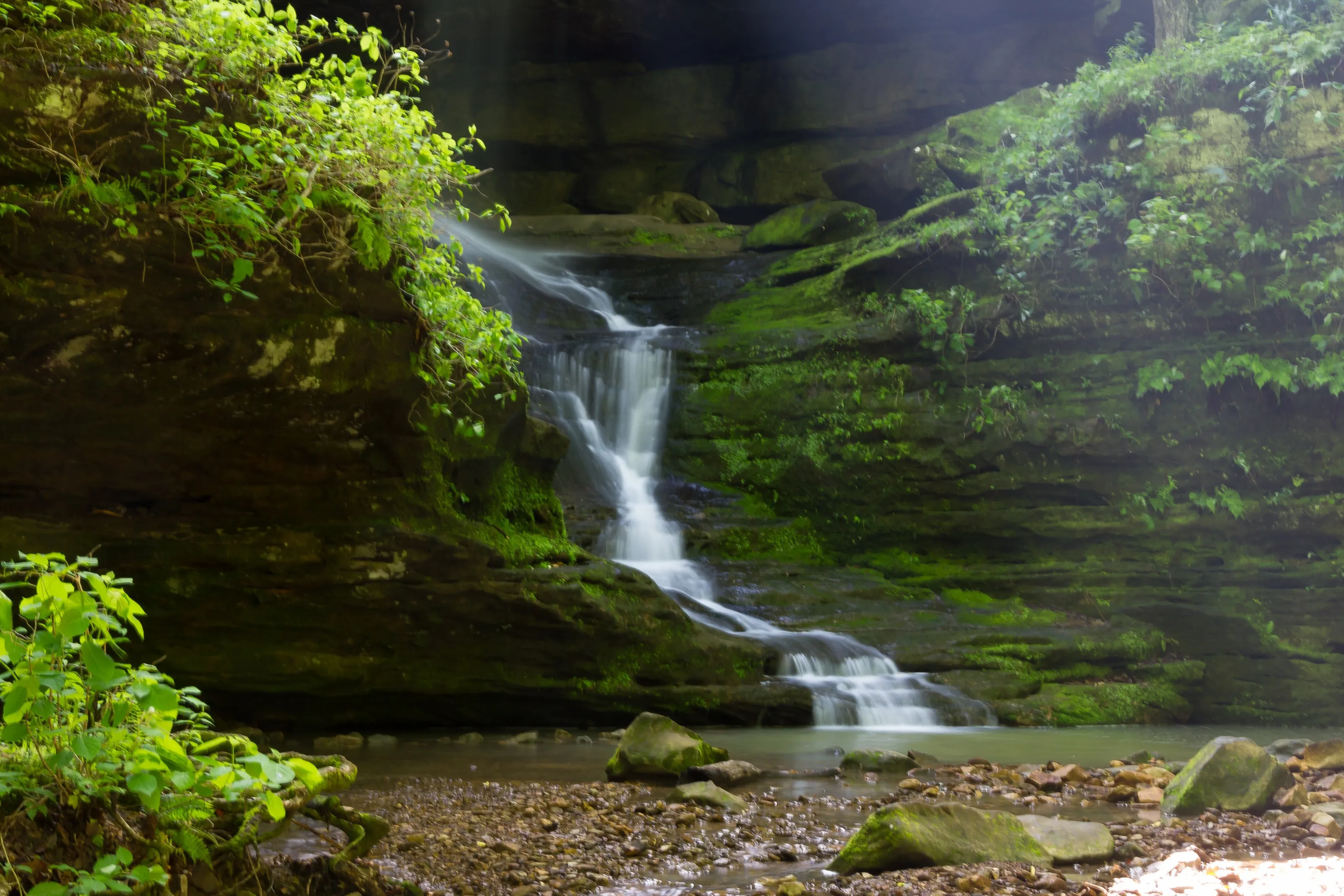 Fernne Clyffe State Park