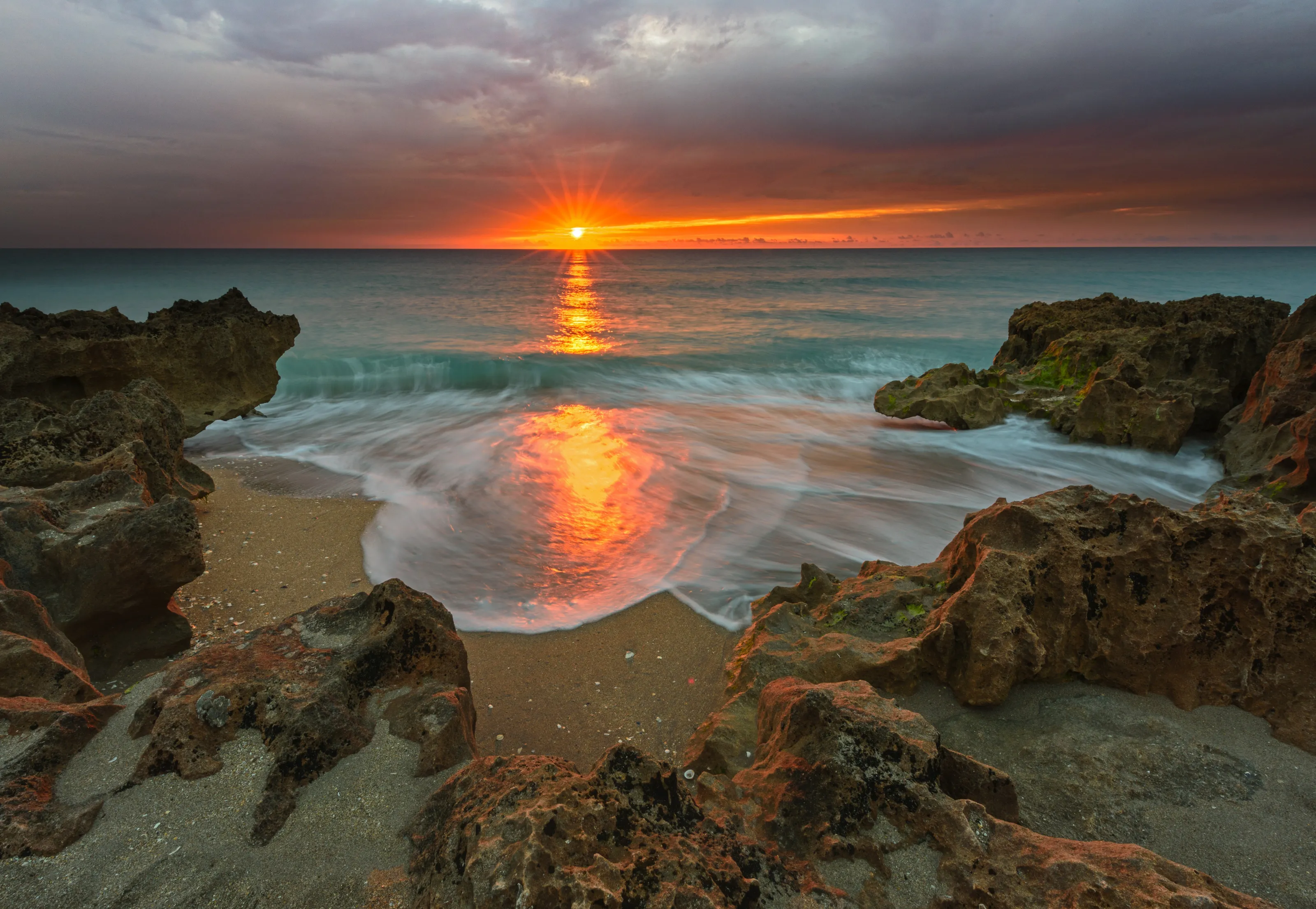 Coral Sunrise