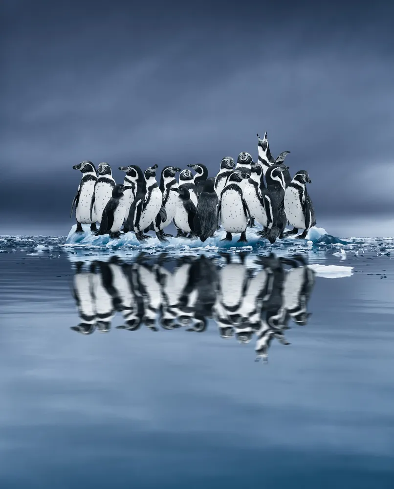 Make room for me! Composite image