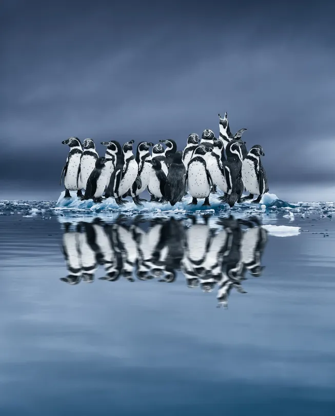 Make room for me! Composite image