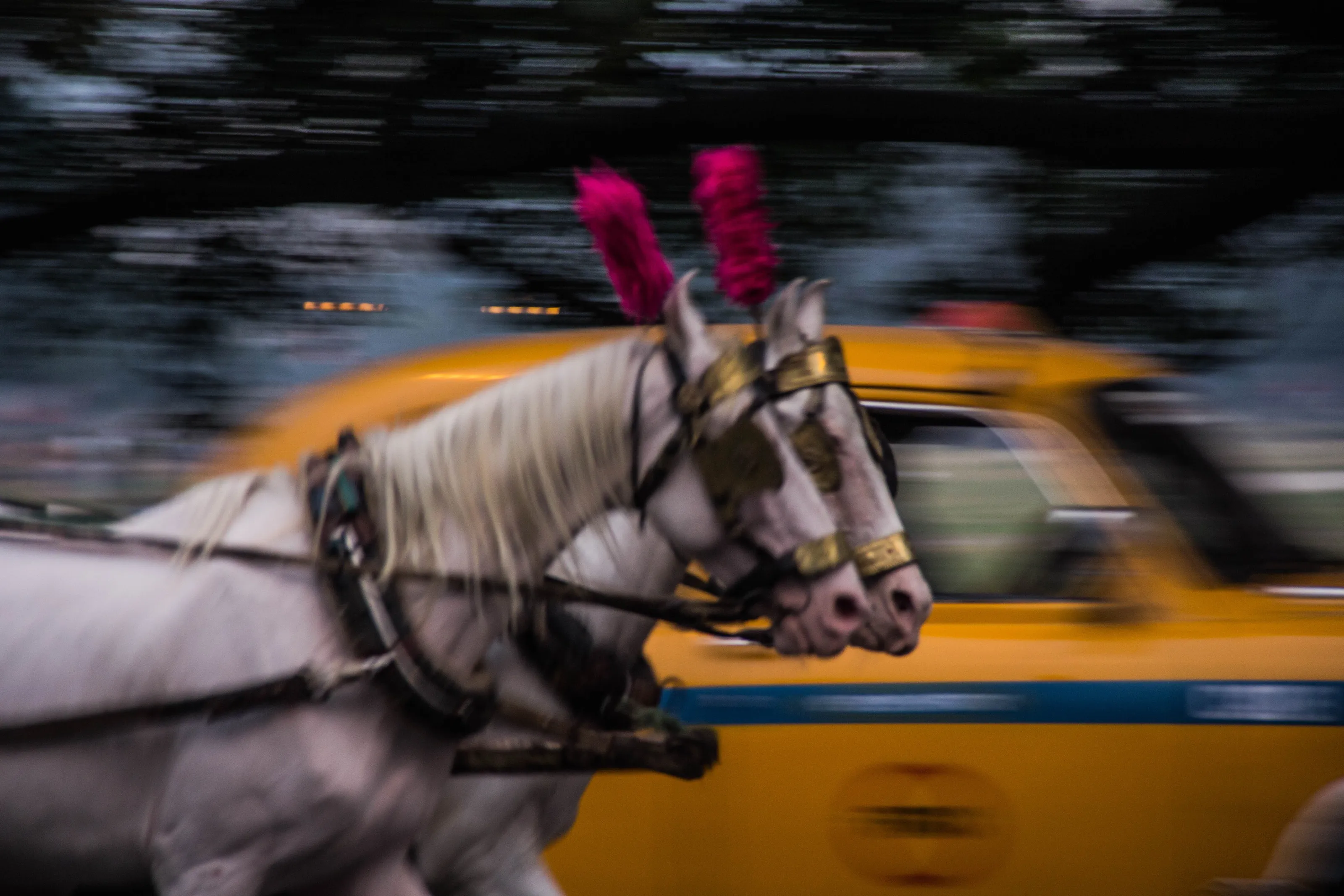 Heritage of Calcutta