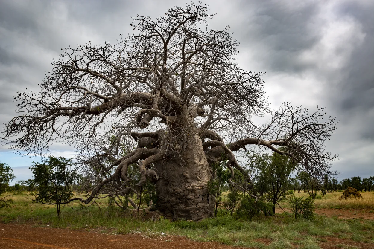 Entry 3581433