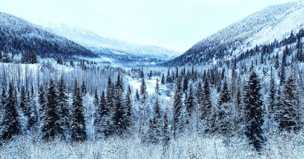 Narnia