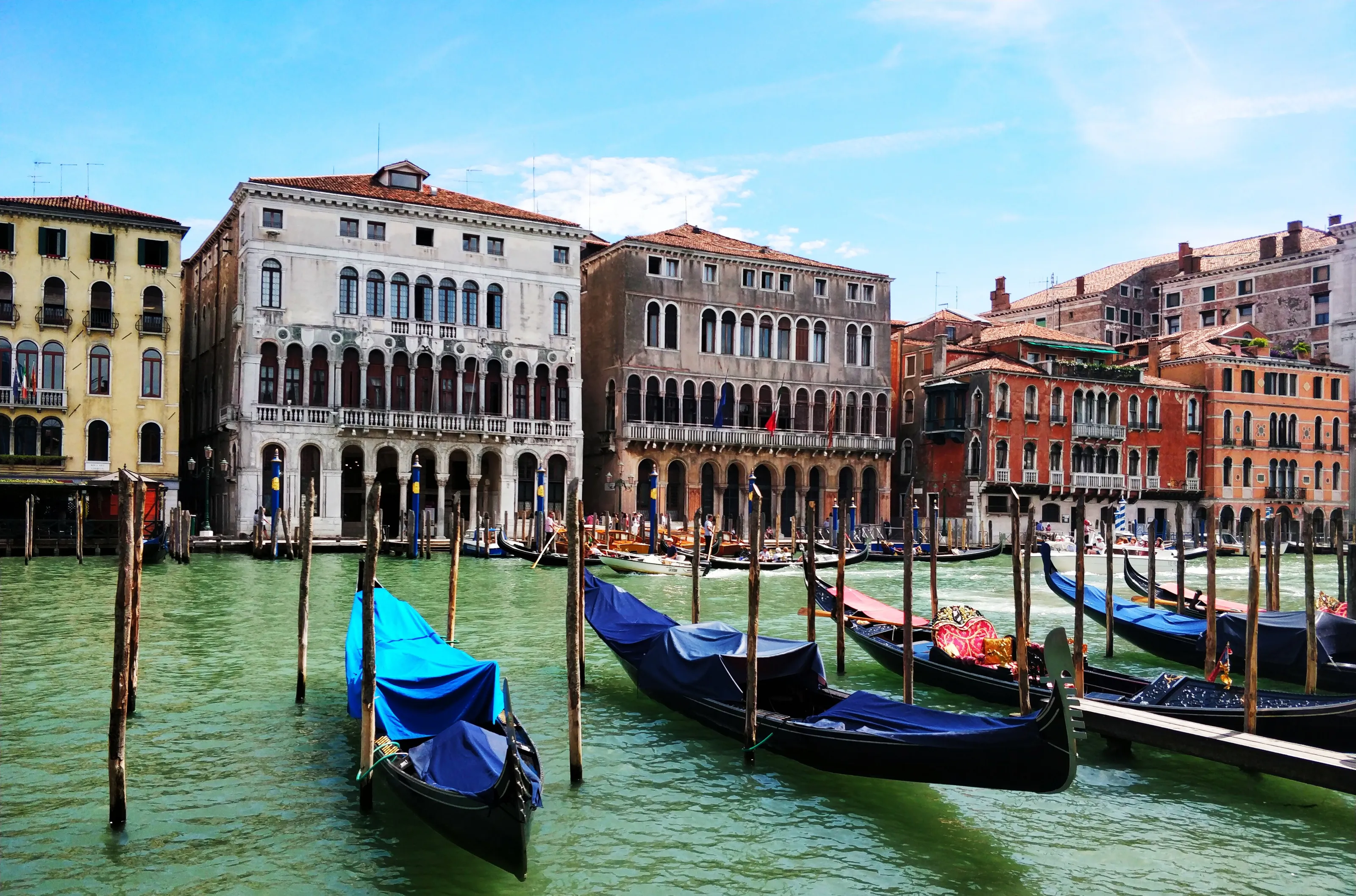 Venice docks