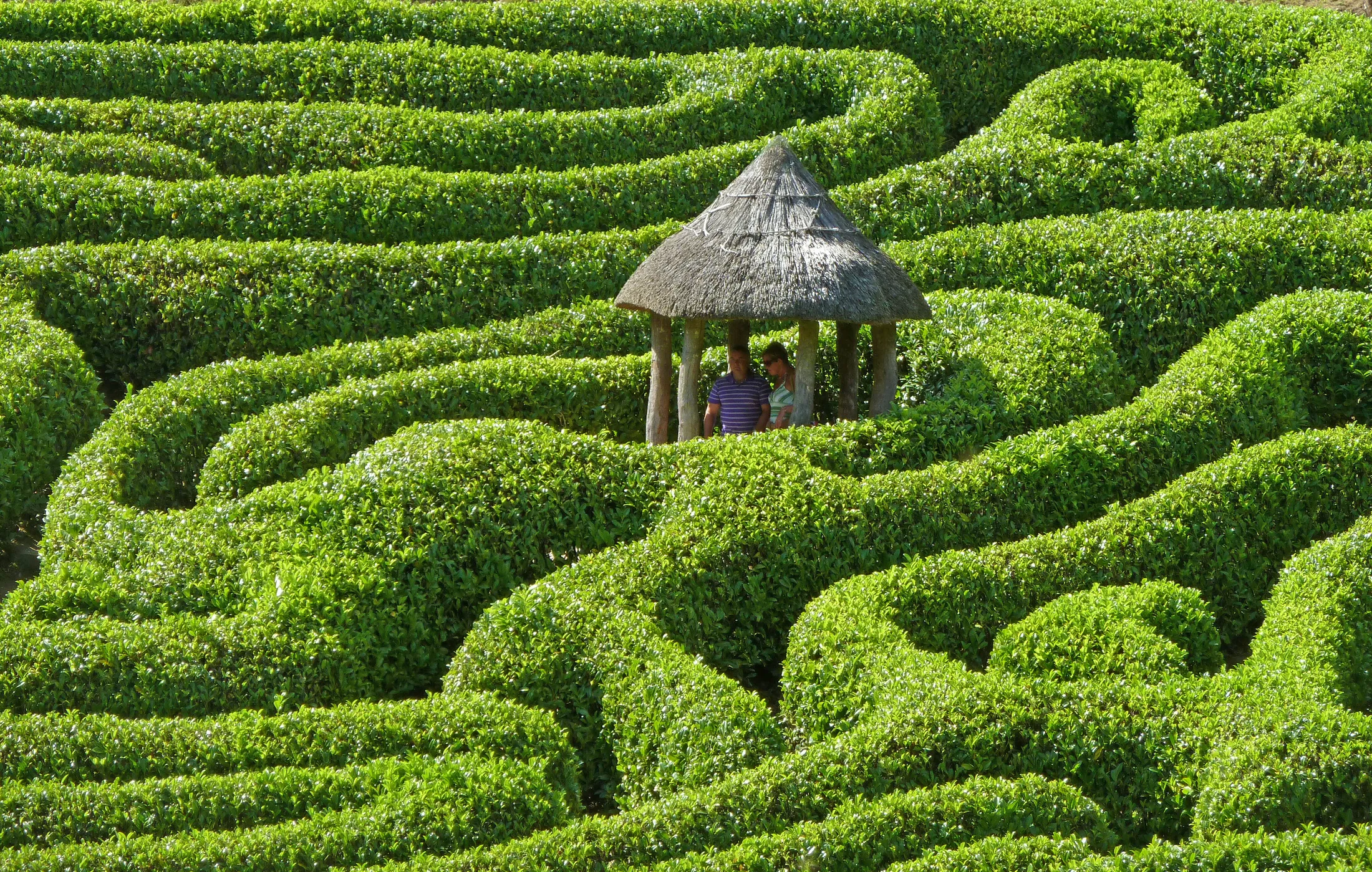 The Maze at Glendurgan