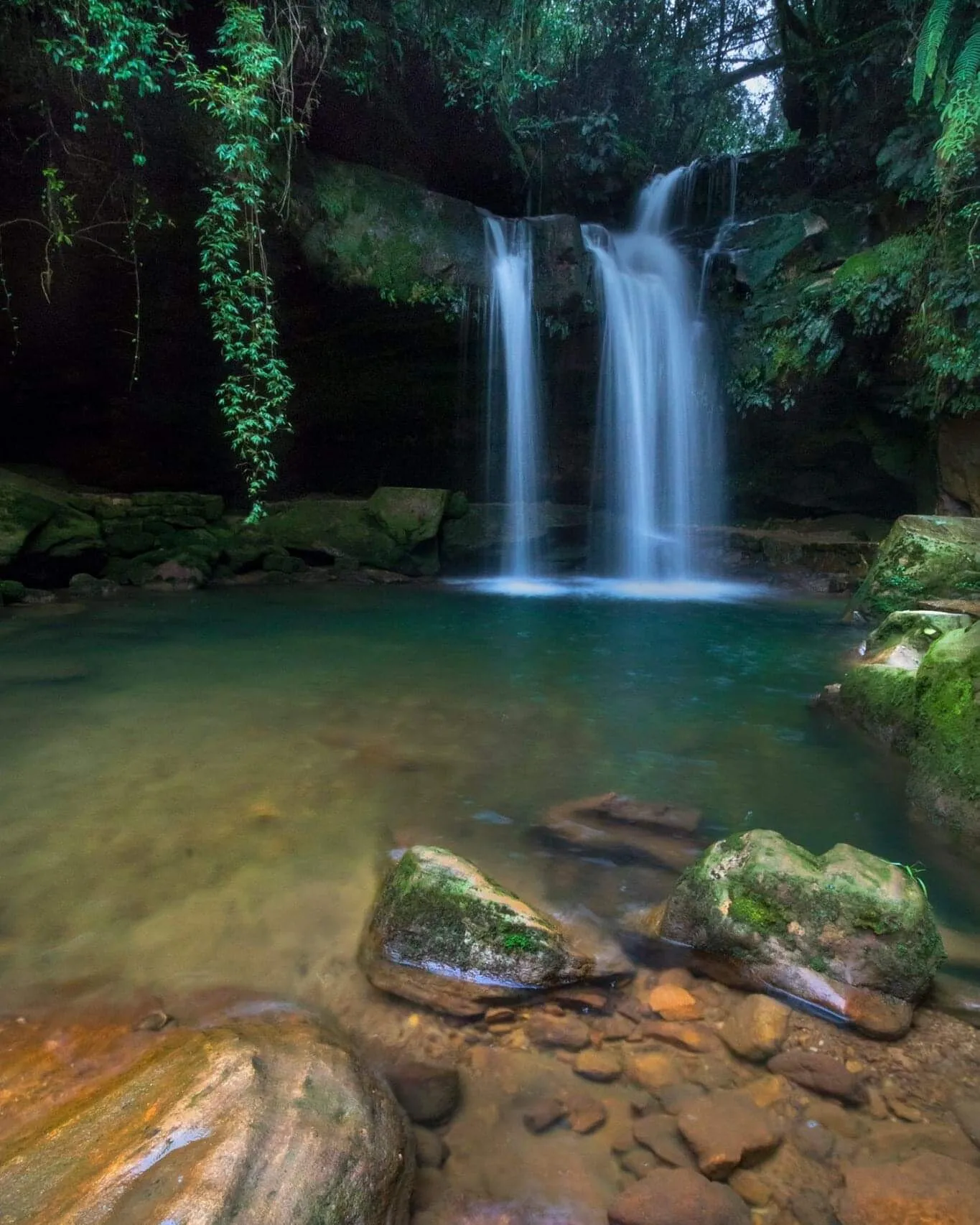 Beauty of nature