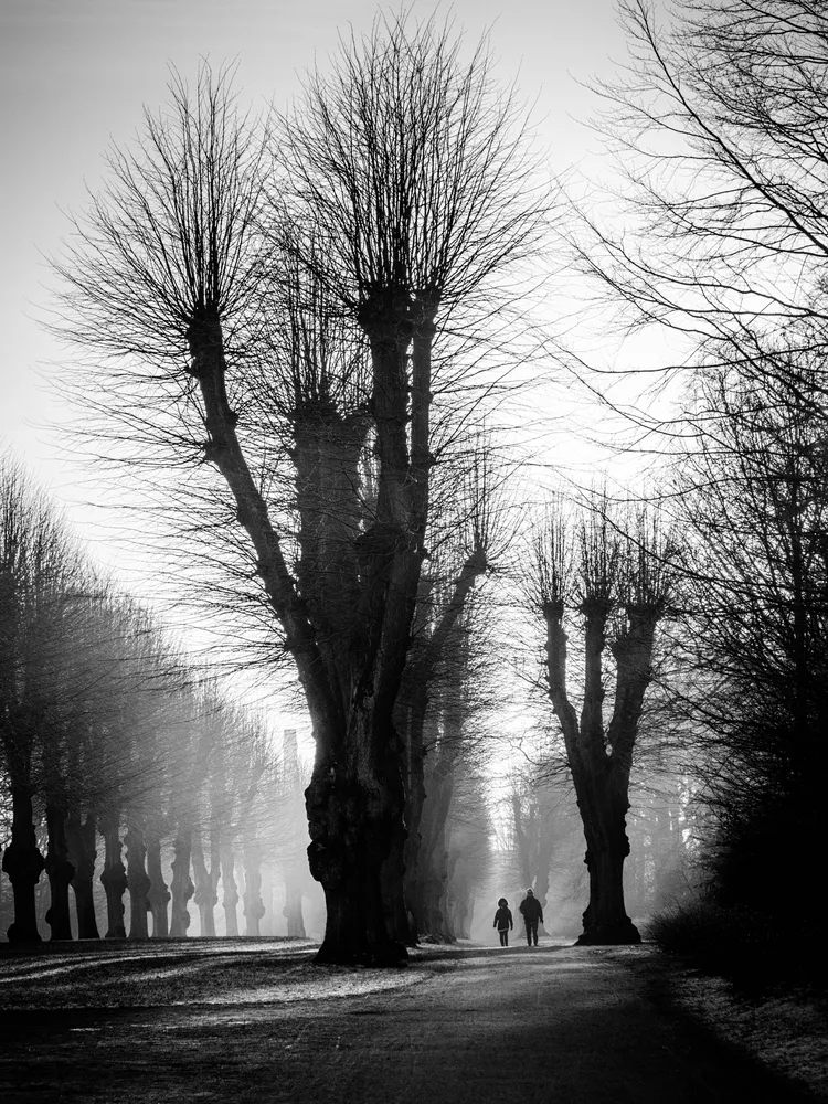 Winter Morning
