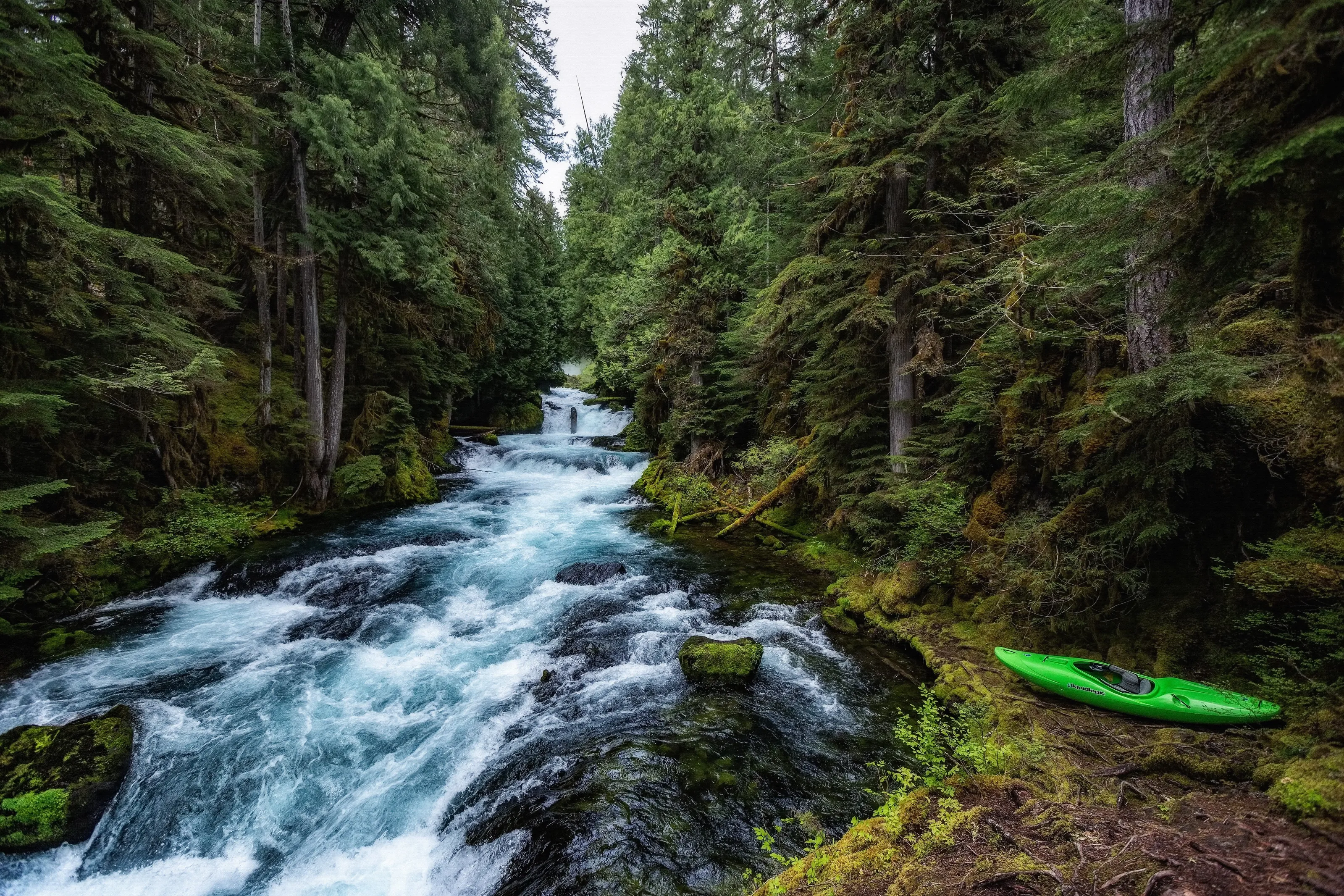 Mckenzie River, Sahalie Falls