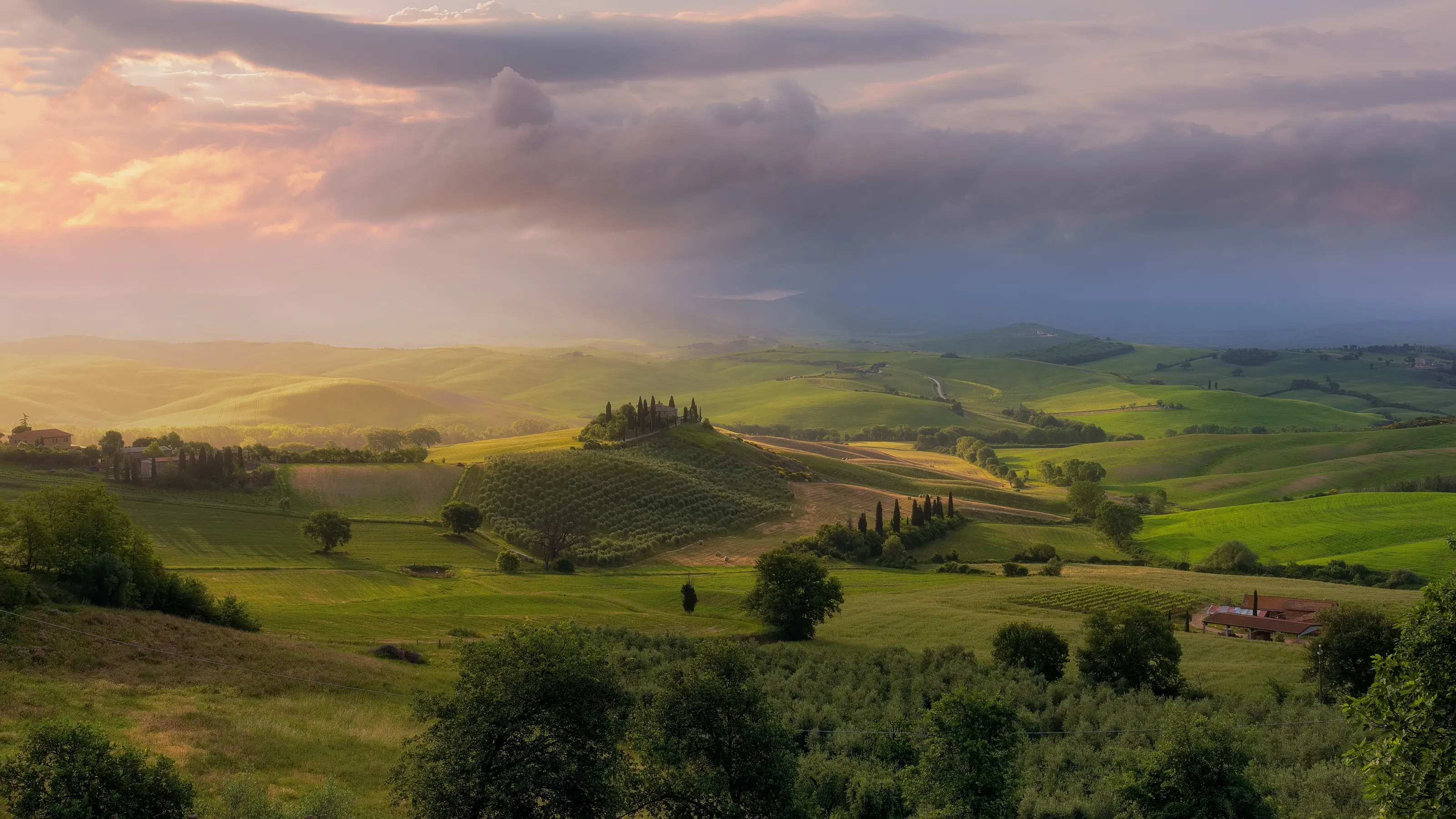 The shire